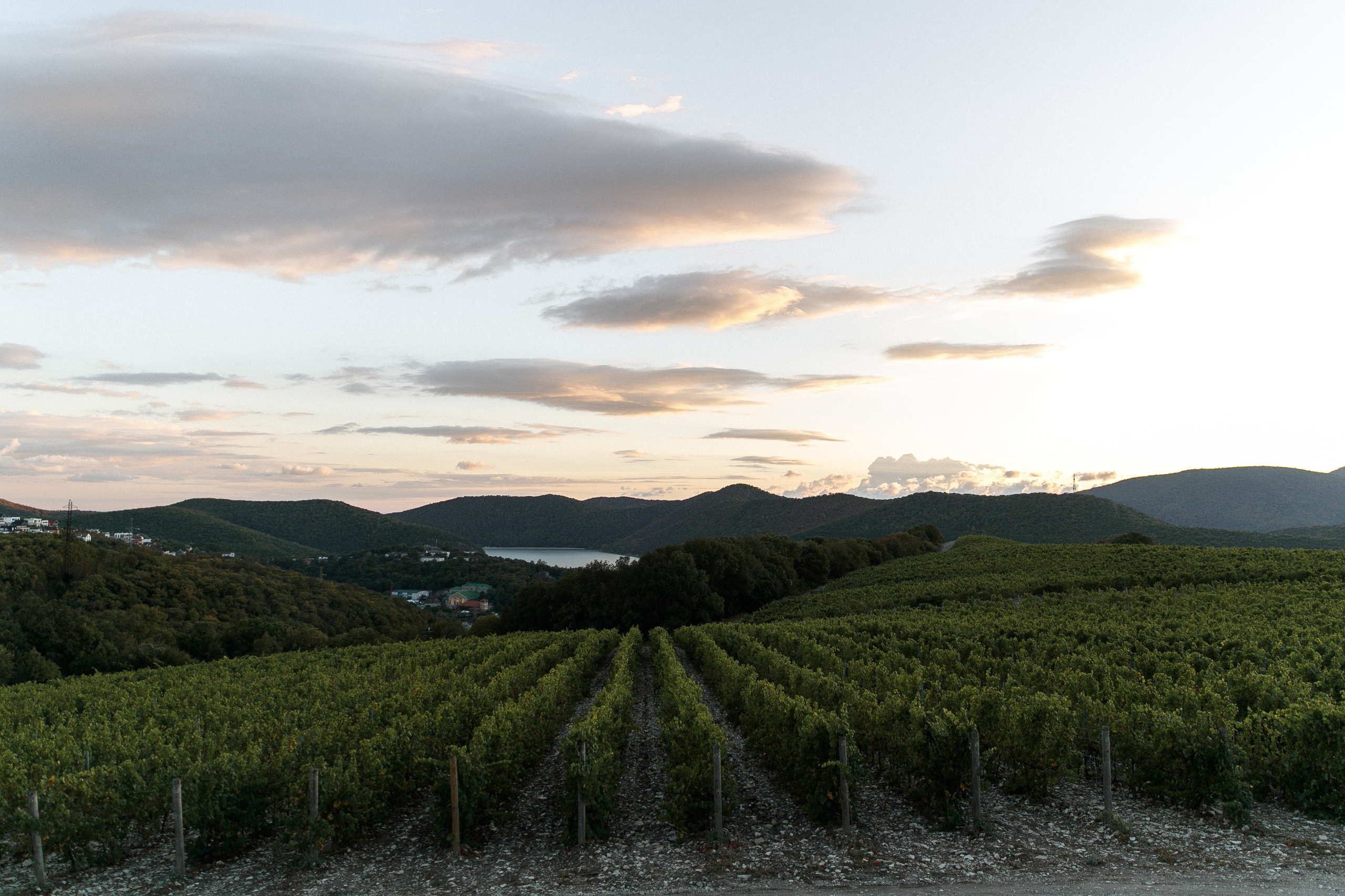 Чингиз и Ася. Свадебный и семейный фотограф Краснодар, Ростов, Сочи Ульяна Федорченк