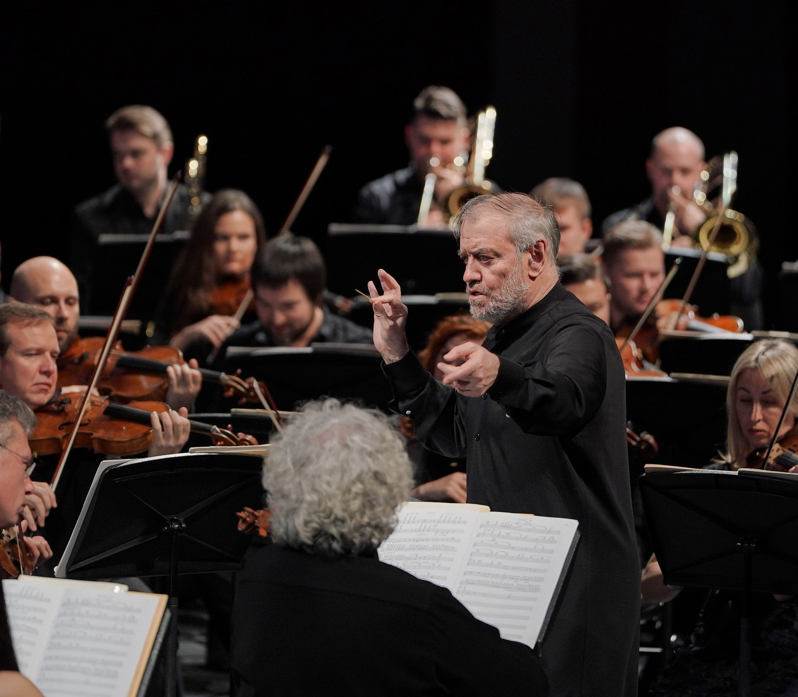 Оркестр. Театральный фотограф в Санкт-Петербурге Александр Нефф
