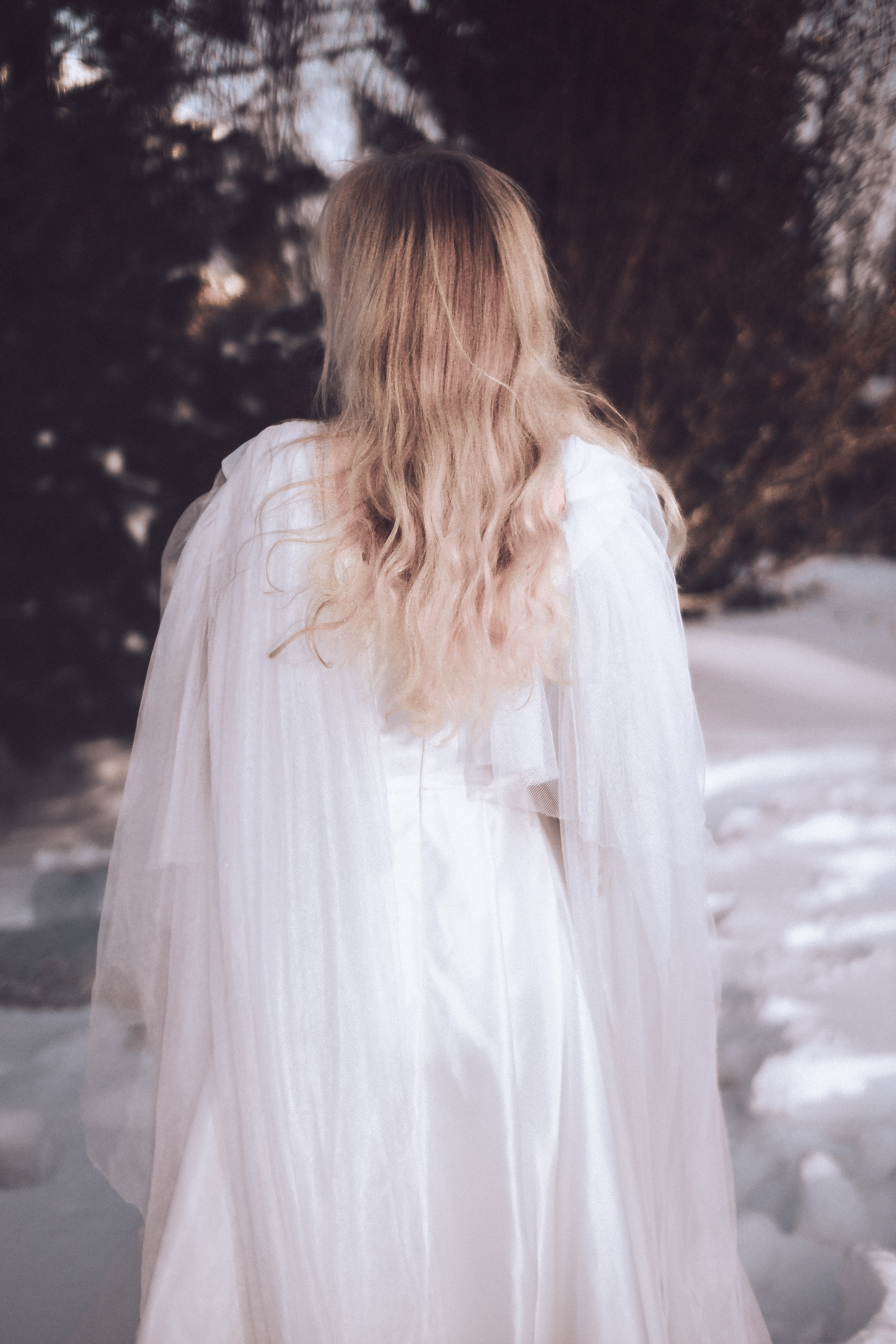 Царевна Лебедь. Светлана Аброщикова