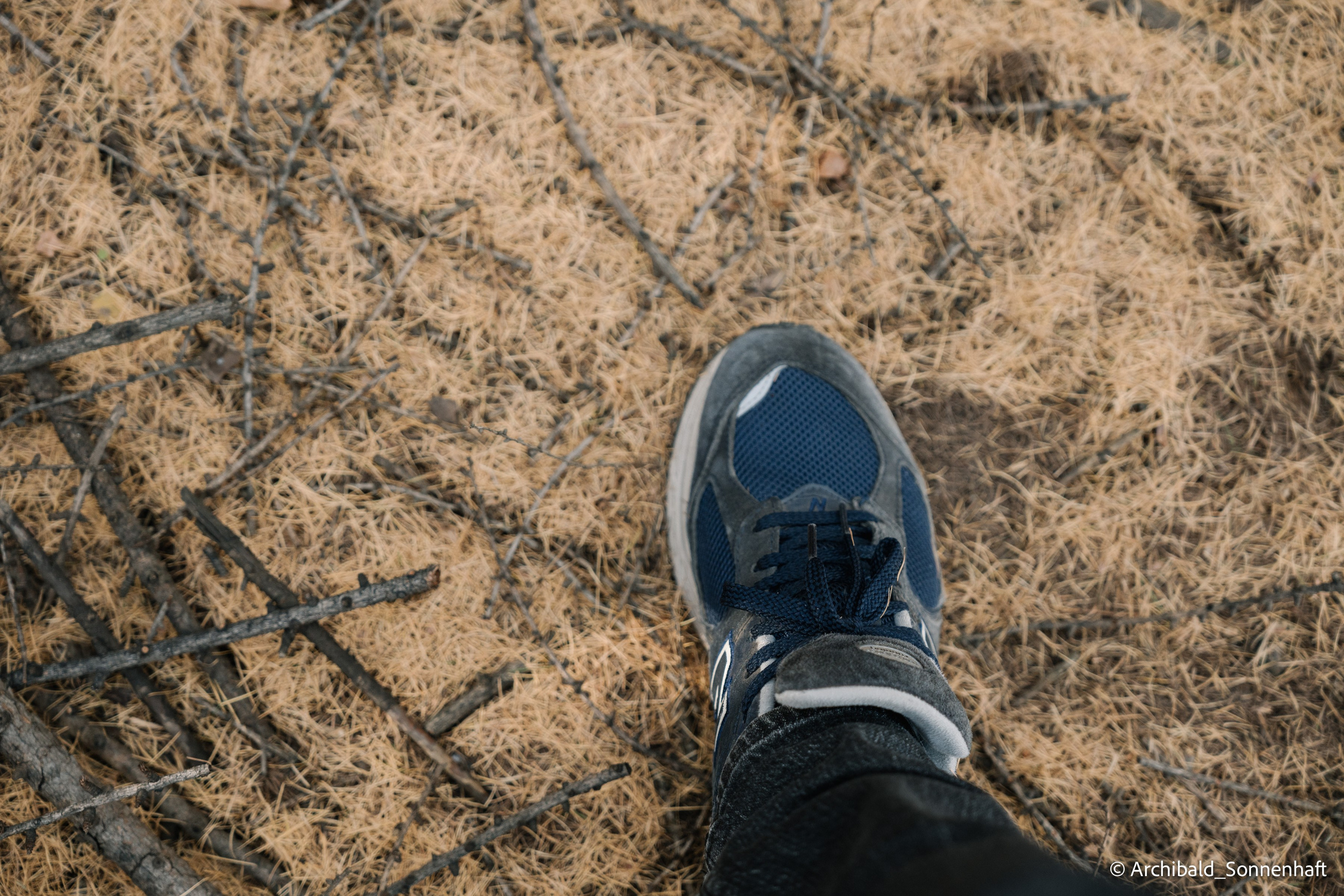 Inner mongolia. Photographer in Guangzhou, China. Archibald Sonnenhaft