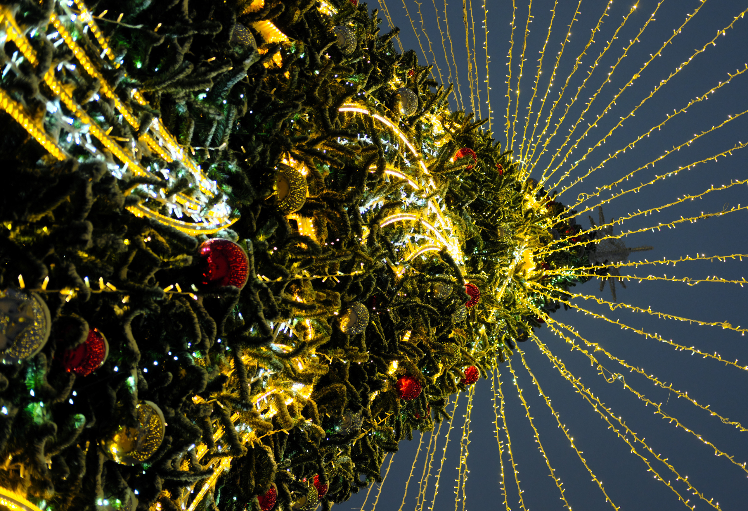 Фотограф Владимир Кононенко