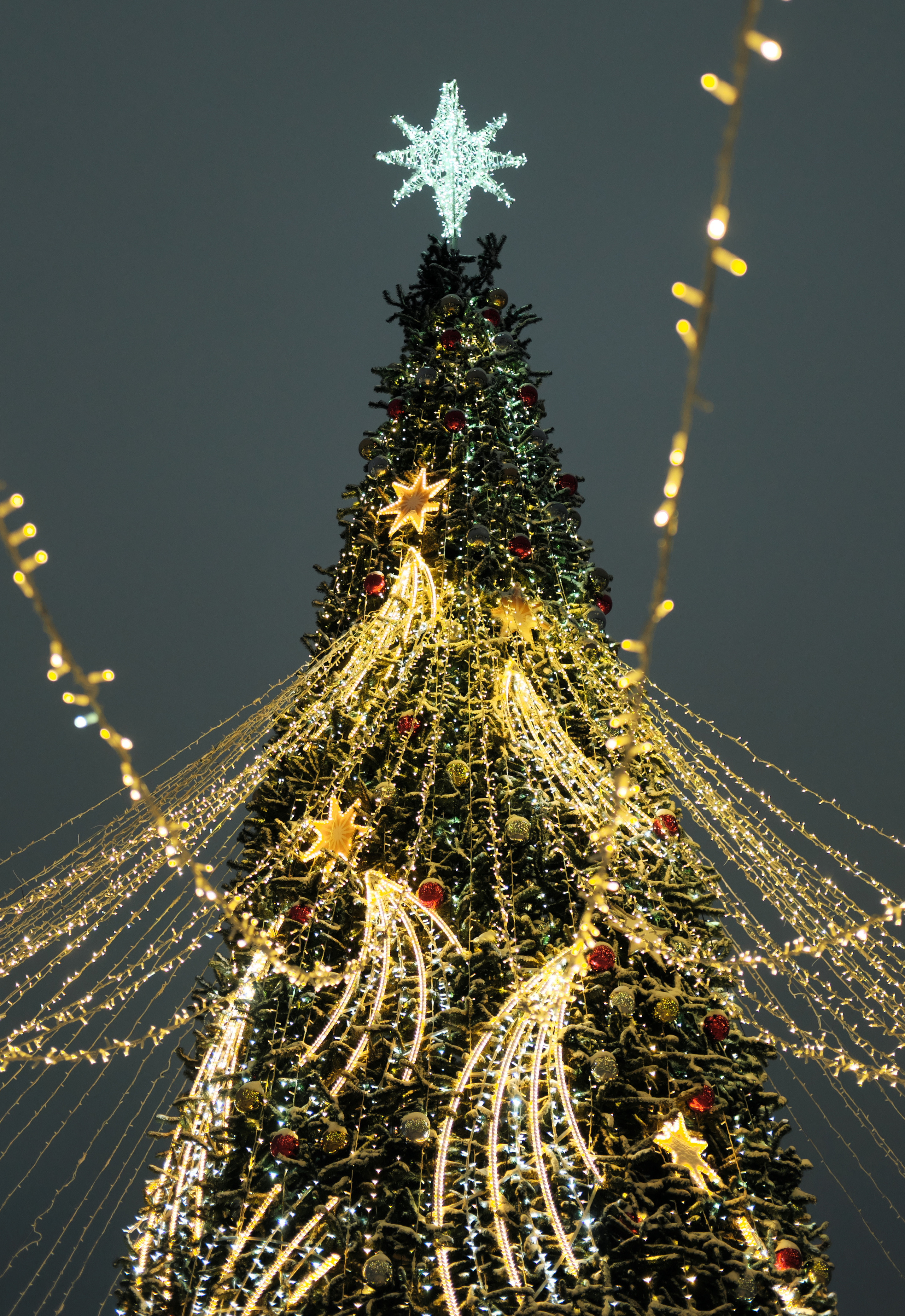 Фотограф Владимир Кононенко