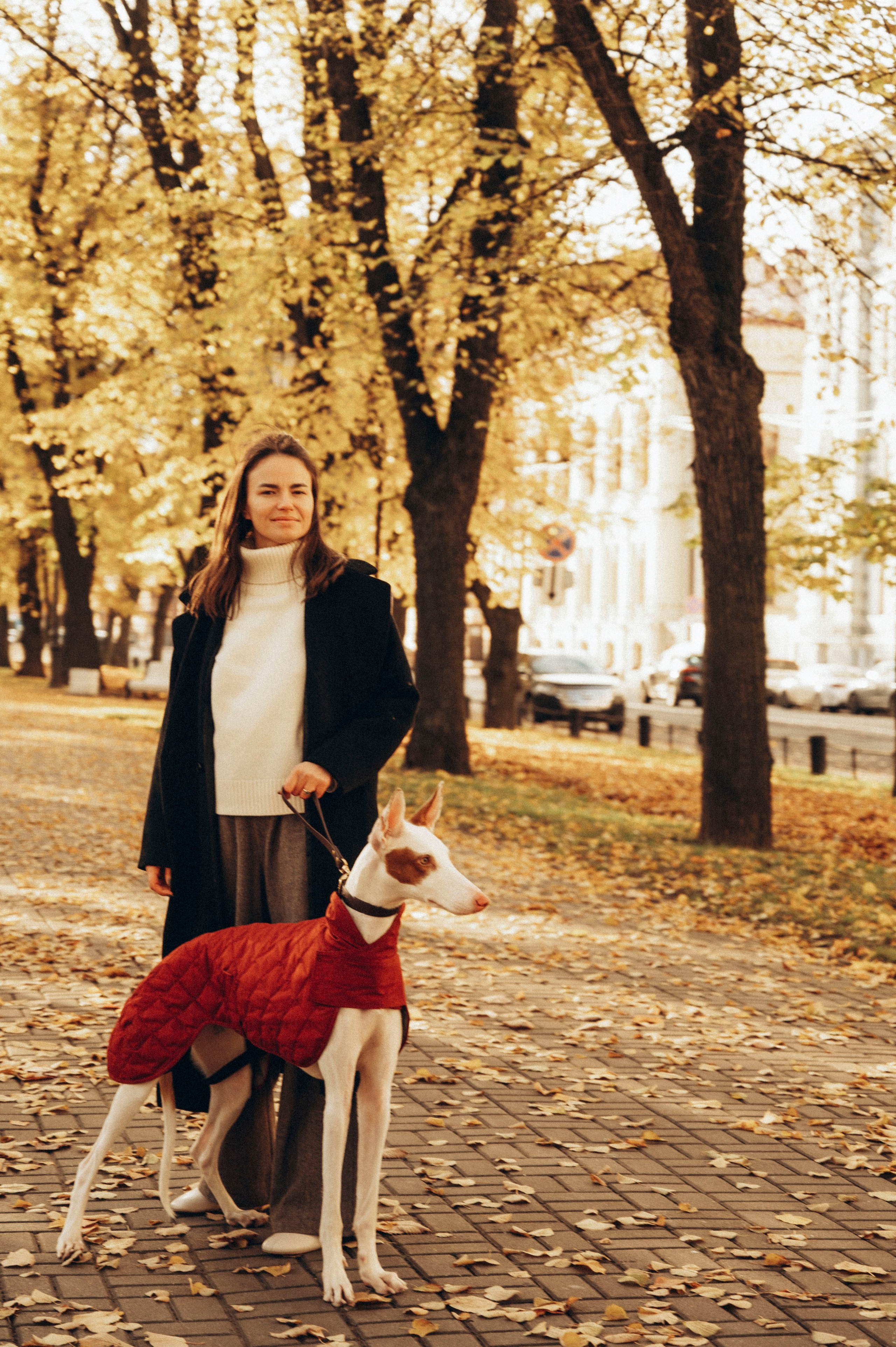 Валерия. Профессиональный фотограф беременности в СПБ. Стильные фотосессии беременности в стиле минимализм и классическая фотография
