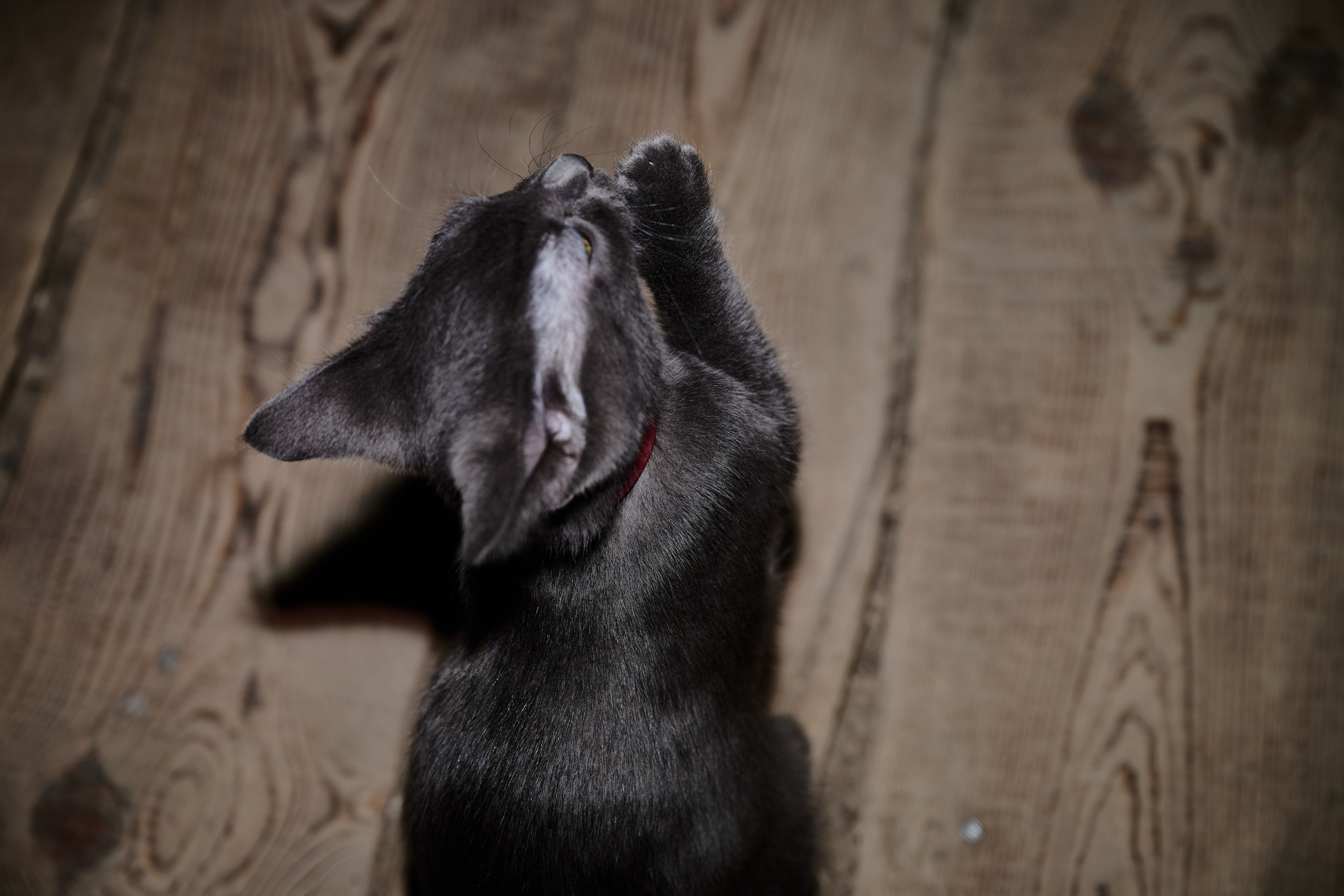 Будни съёмок фотопроекта Территории. Фотограф Роман Адлер