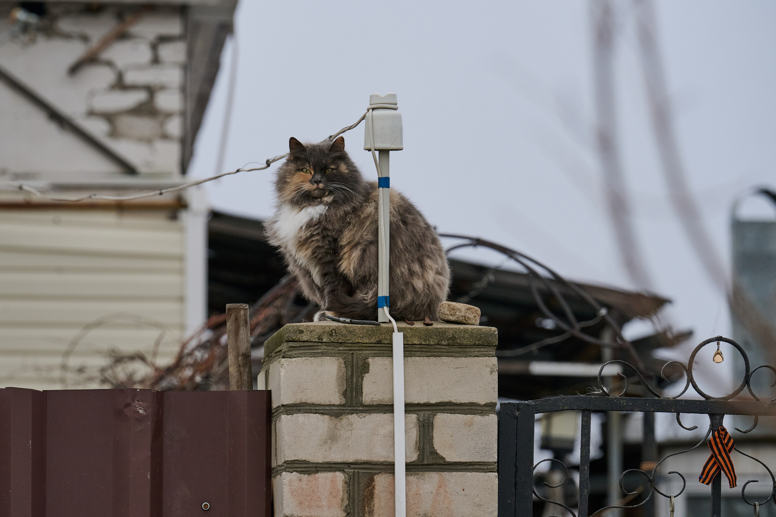 Рубежное. Январь 2026. Фотограф Роман Адлер