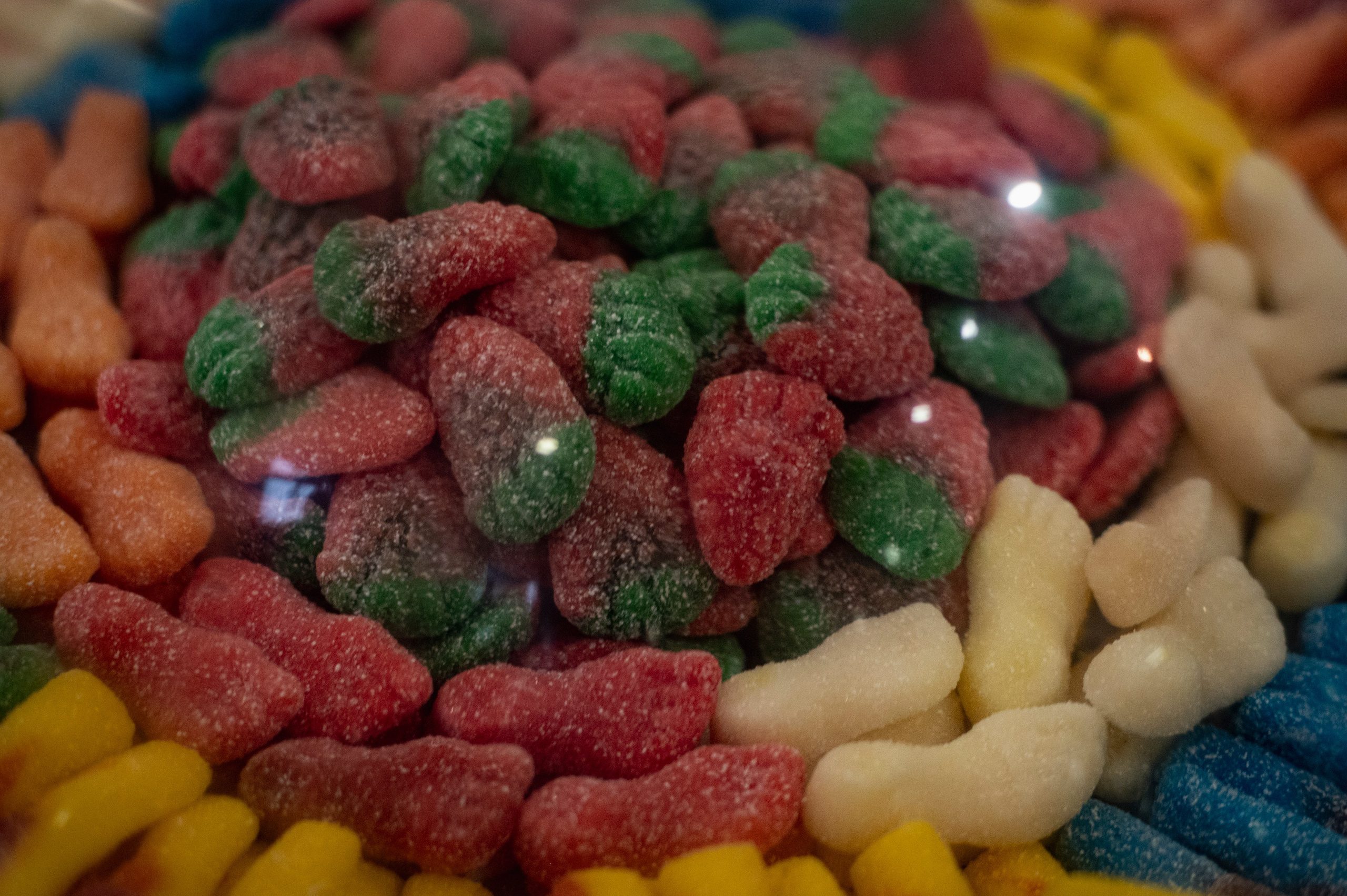 Казань. Сентябрь 2022. Фотограф Роман Адлер