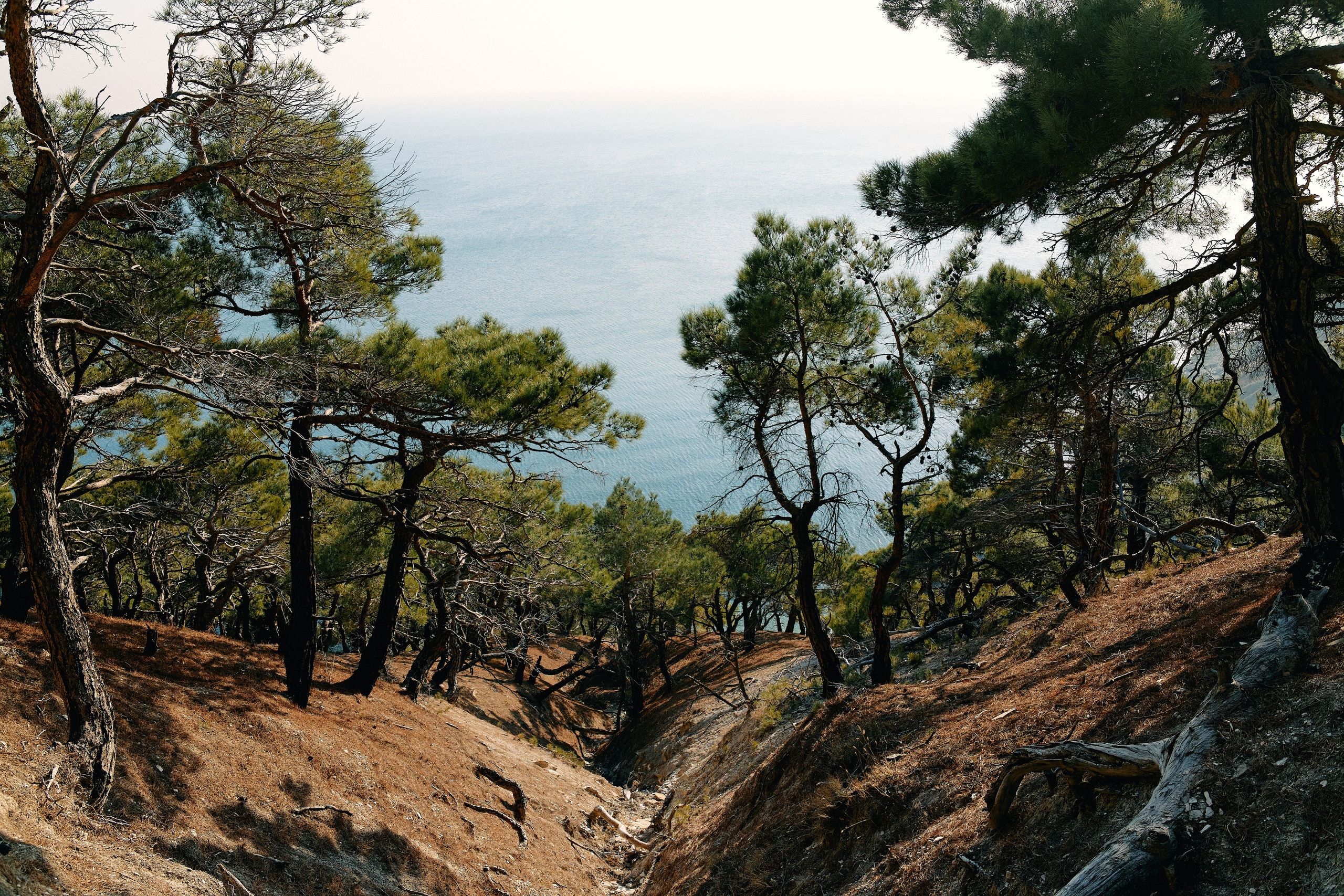 Юг России. Профессиональный Фотограф во Владимире, в Москве и в Суздале — Полина Романычева