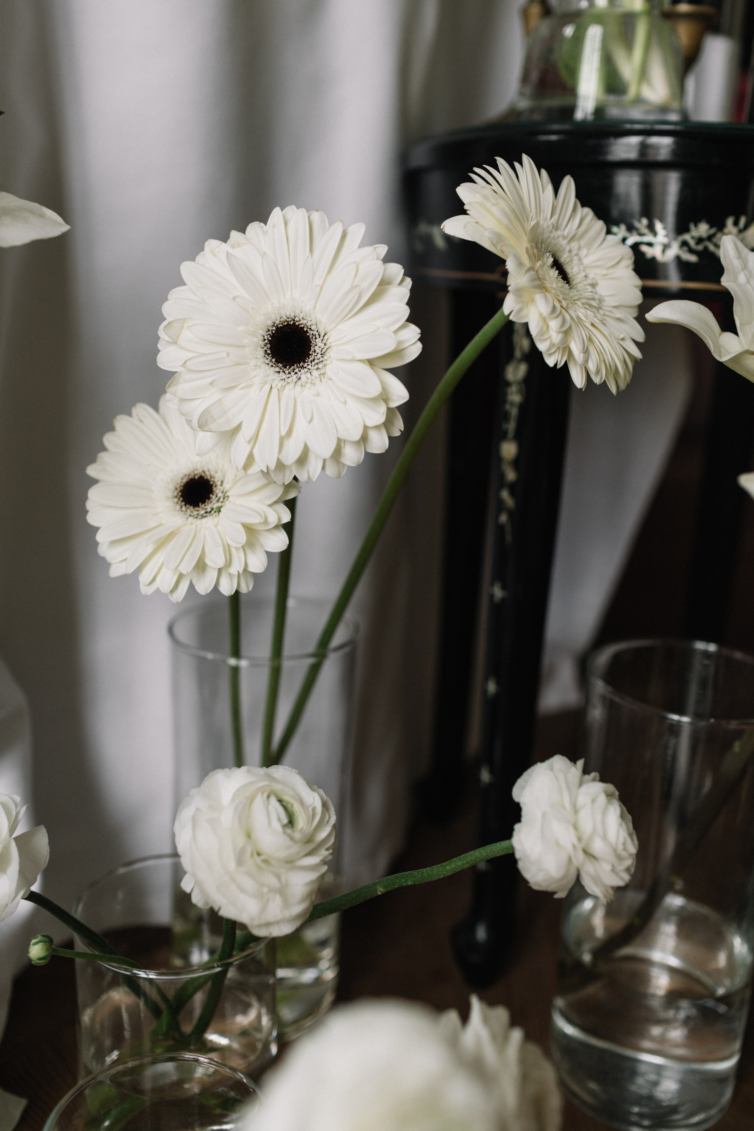 Chato de Talu. Свадебный фотограф в Краснодаре Булатова Наталия