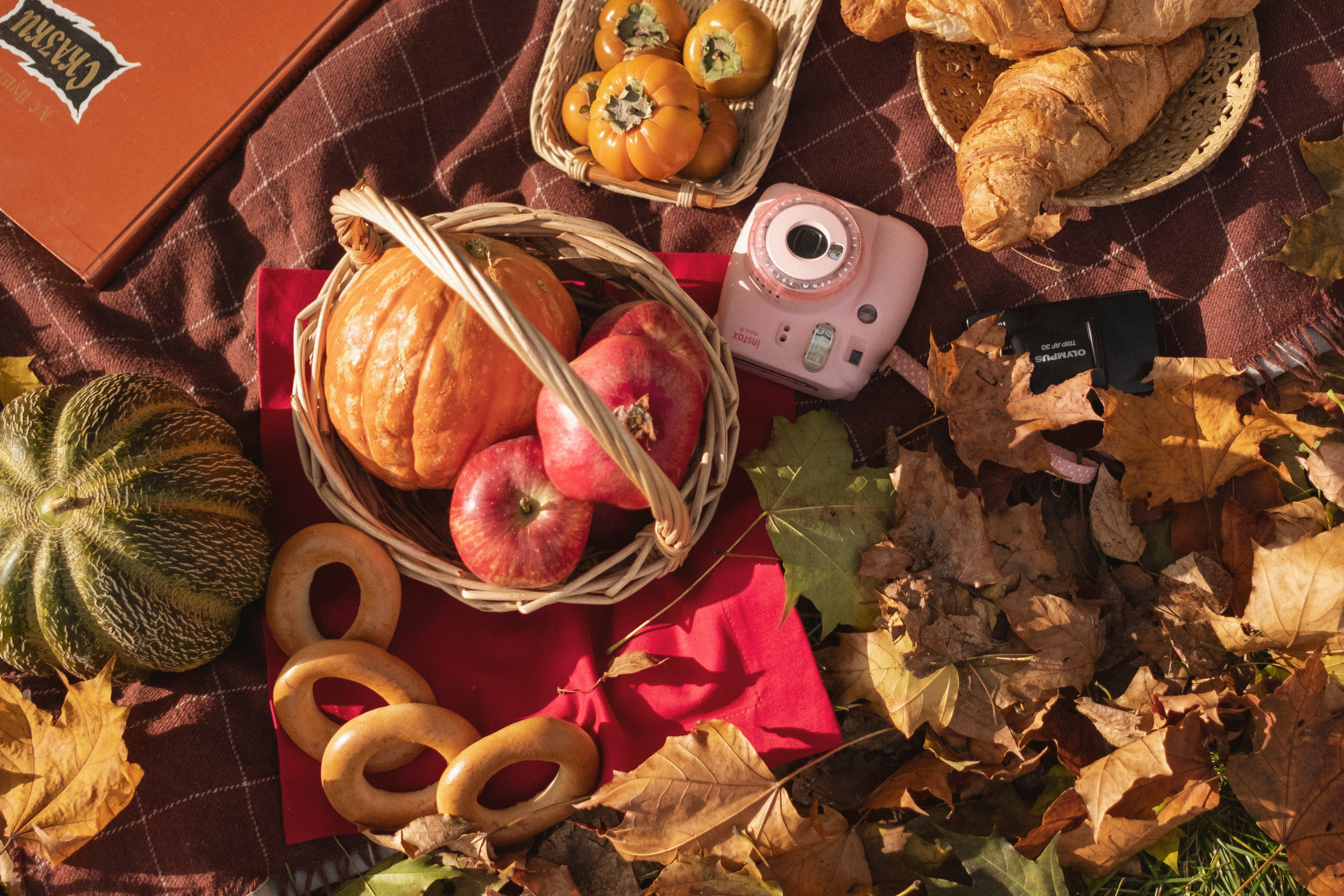 Осенняя. Портретный фотограф в Москве Евгения Яковенко