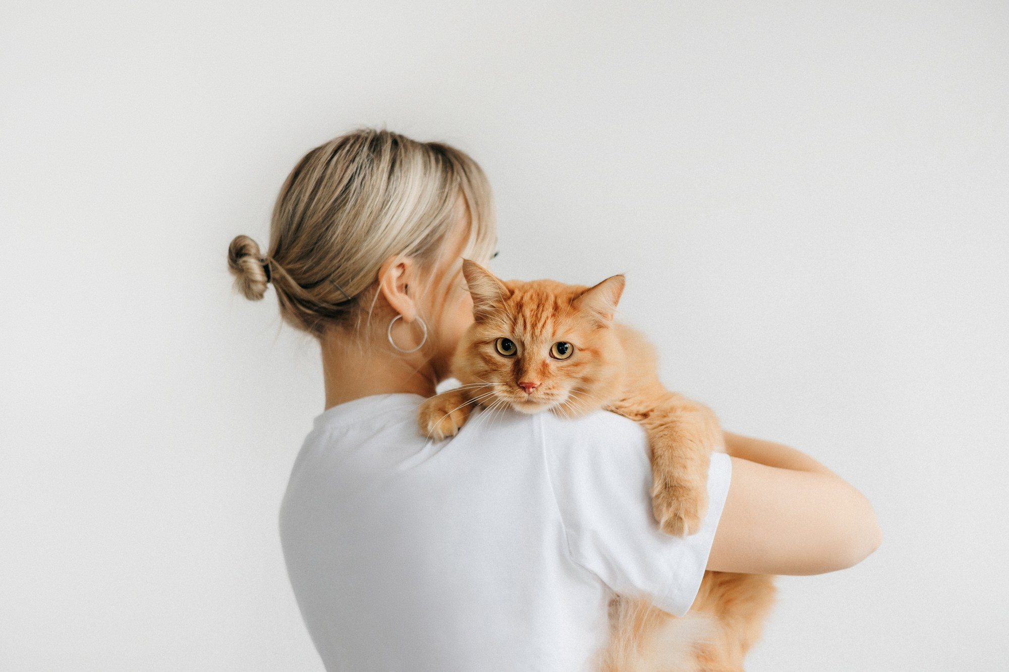 Корма Alpha Pet. Фотограф-анималист Елена Радченко, Москва