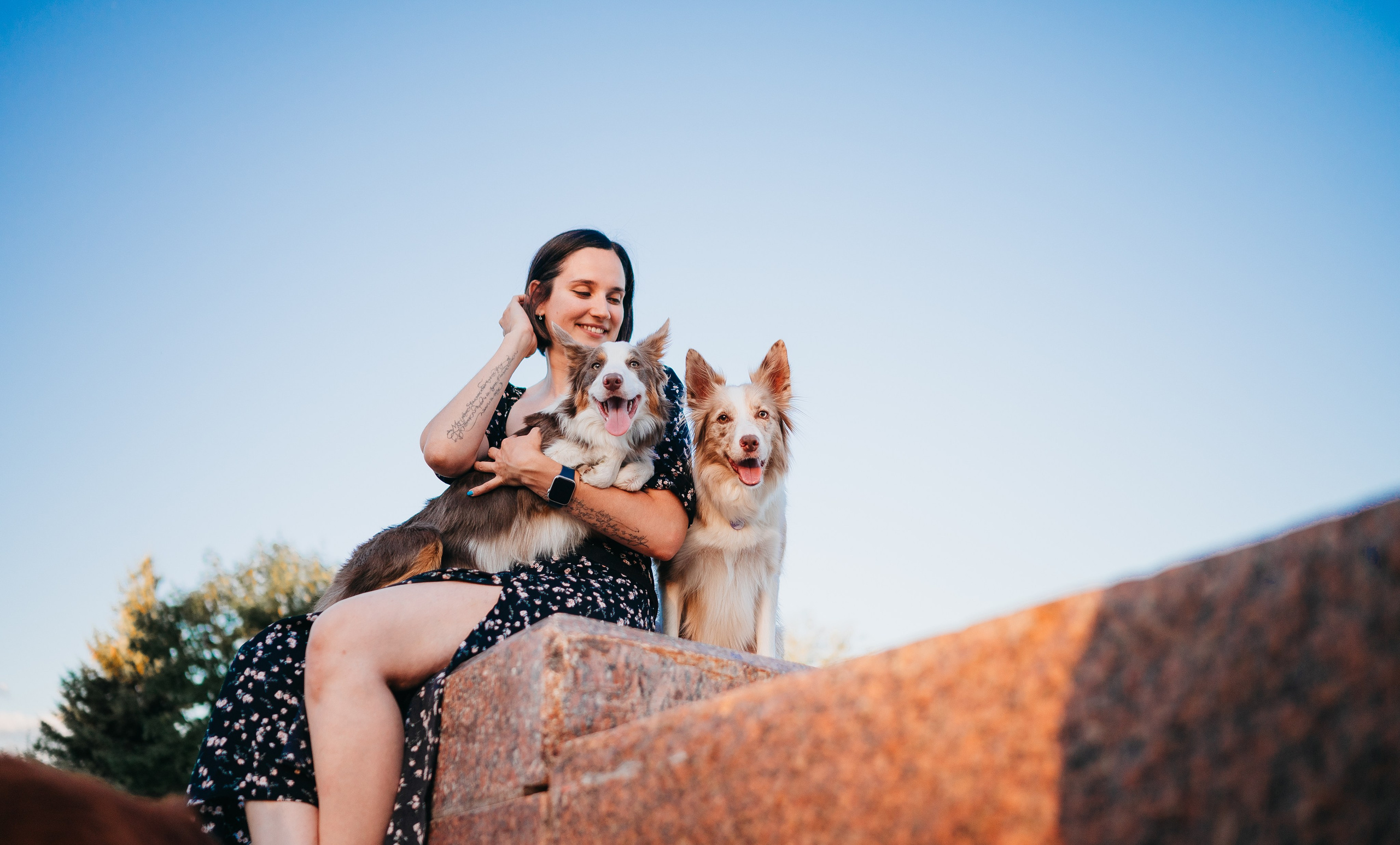 Маша, Лика, Нао и Рафта. Семейный фотограф анималист Ананьева Мария — Москва