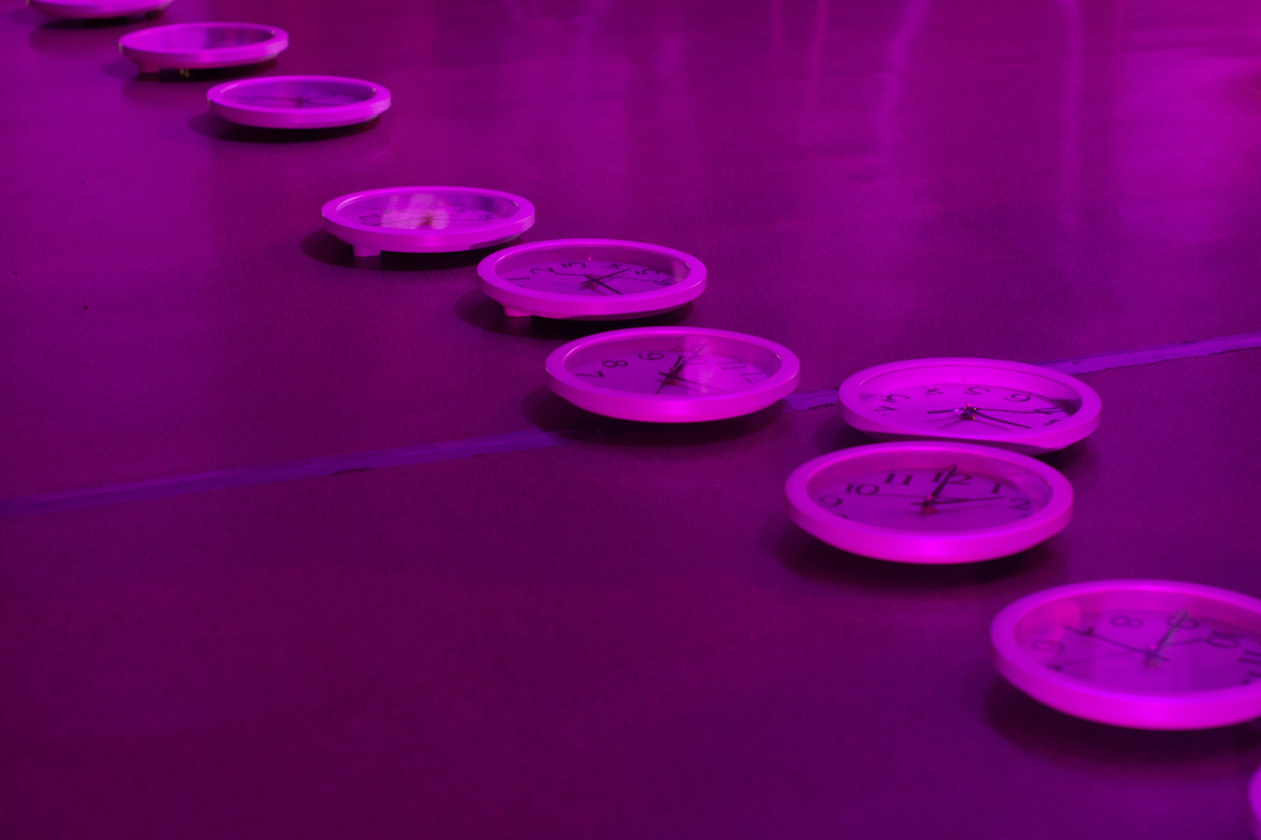 Отчетное выступление NEXT. Evgeniy Roslov