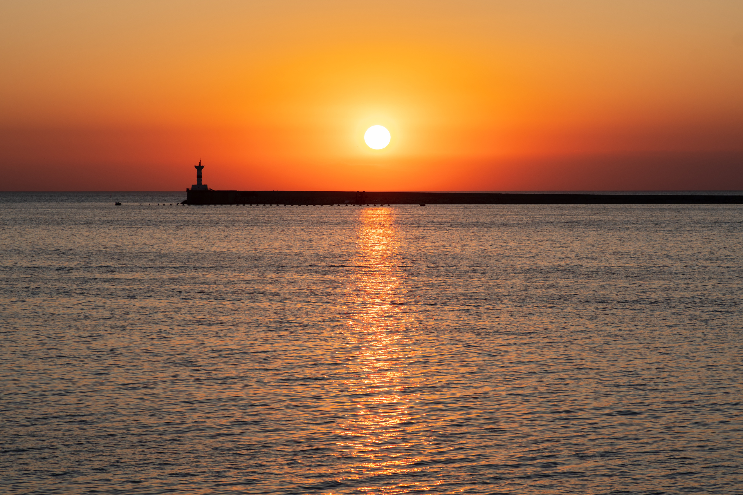 Детские фотосессии в Севастополе. Вероника. Фотограф в Москве, Оксана Ребристая