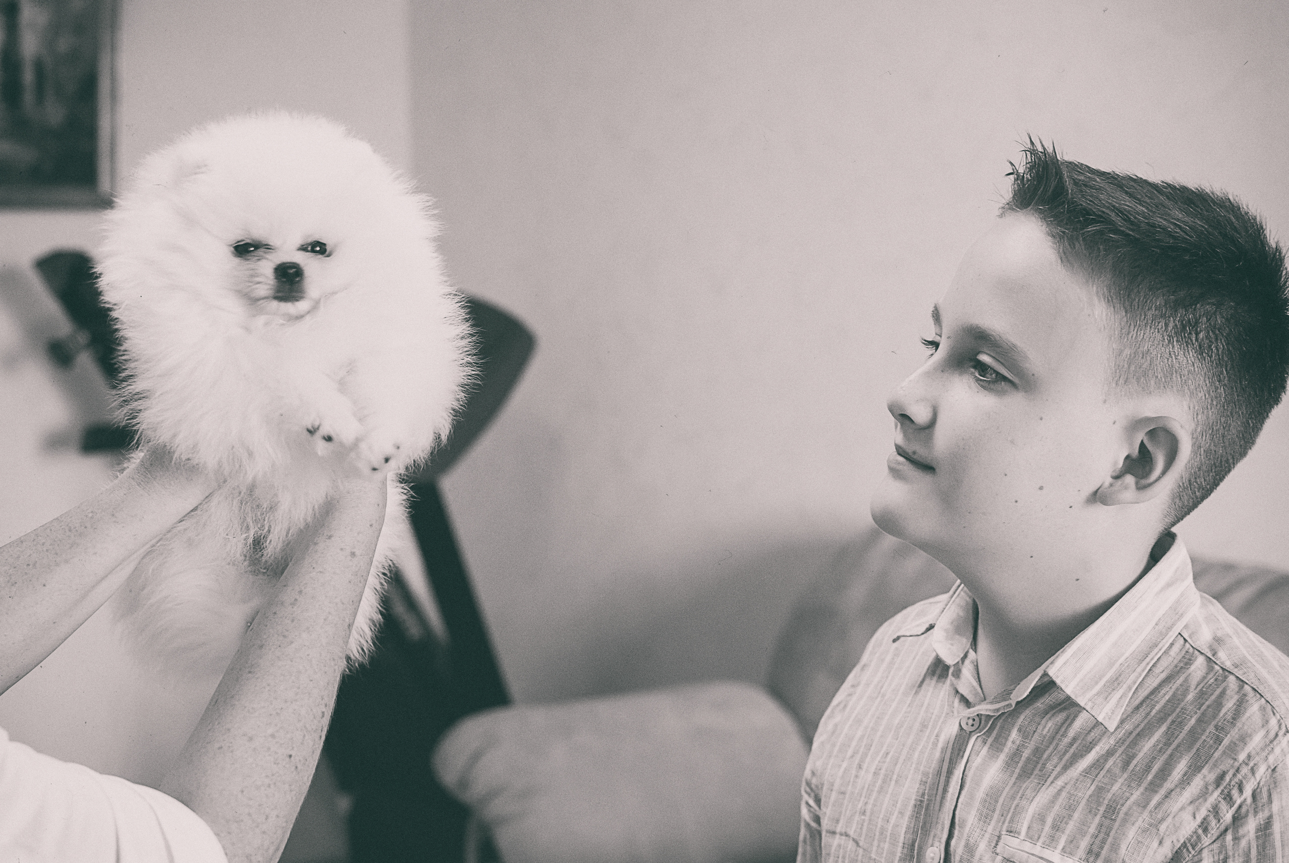 фотограф в Севастополе, фотосессия в Севастополе, семейная фотосессия в Севастополе, детский фотограф в Севастополе, семейный фотограф в Севастополе, фотограф Севастополь, услуги фотографа Севастополь, фотопрогулка Севастополь