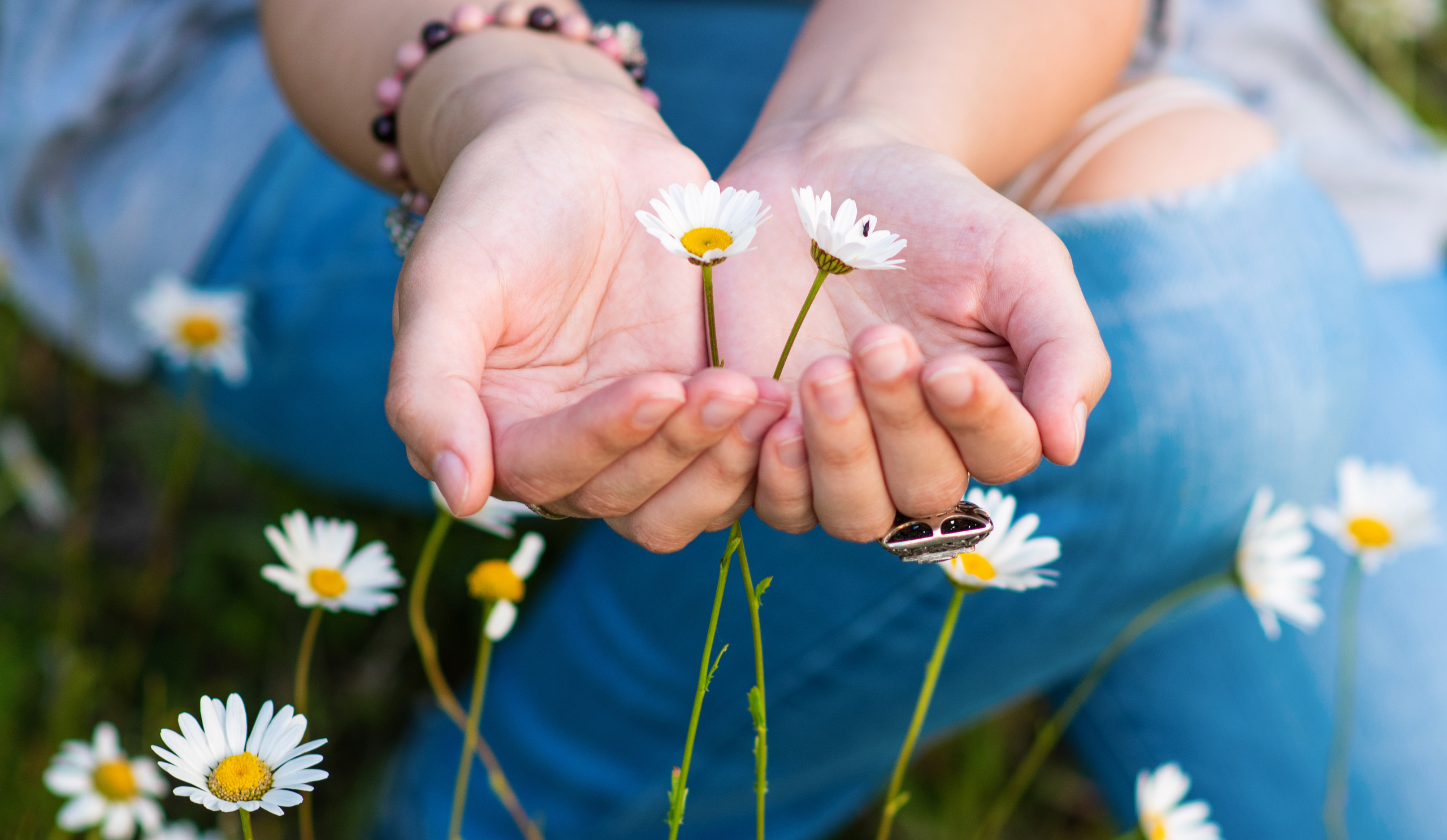 Ромашковое настроение. Фотограф в Москве, Оксана Ребристая