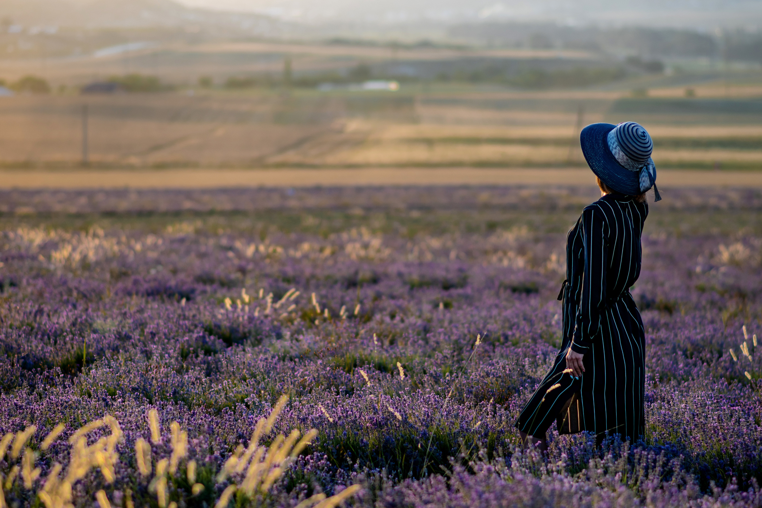 Фотосессия в лаванде. Дарья. Фотограф в Москве, Оксана Ребристая
