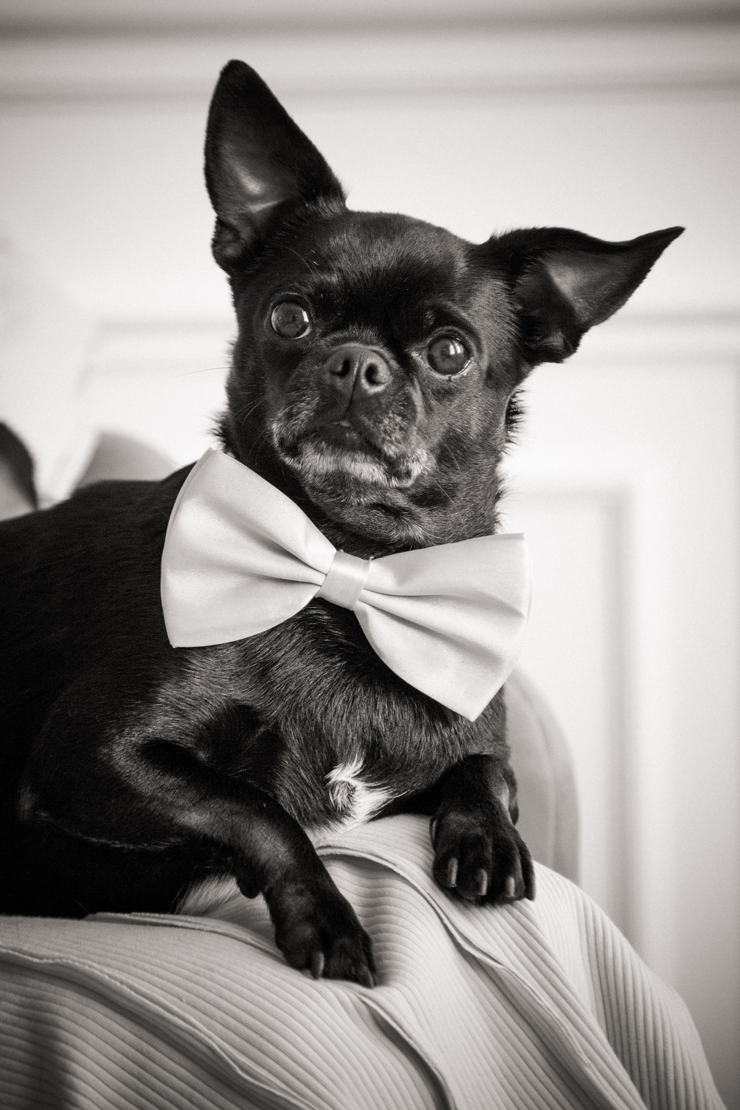 Фотосессия беременности в студии. X-Place студия в Москве. Свадебный и семейный фотограф в Москве и Подмосковье Лариса Козлова