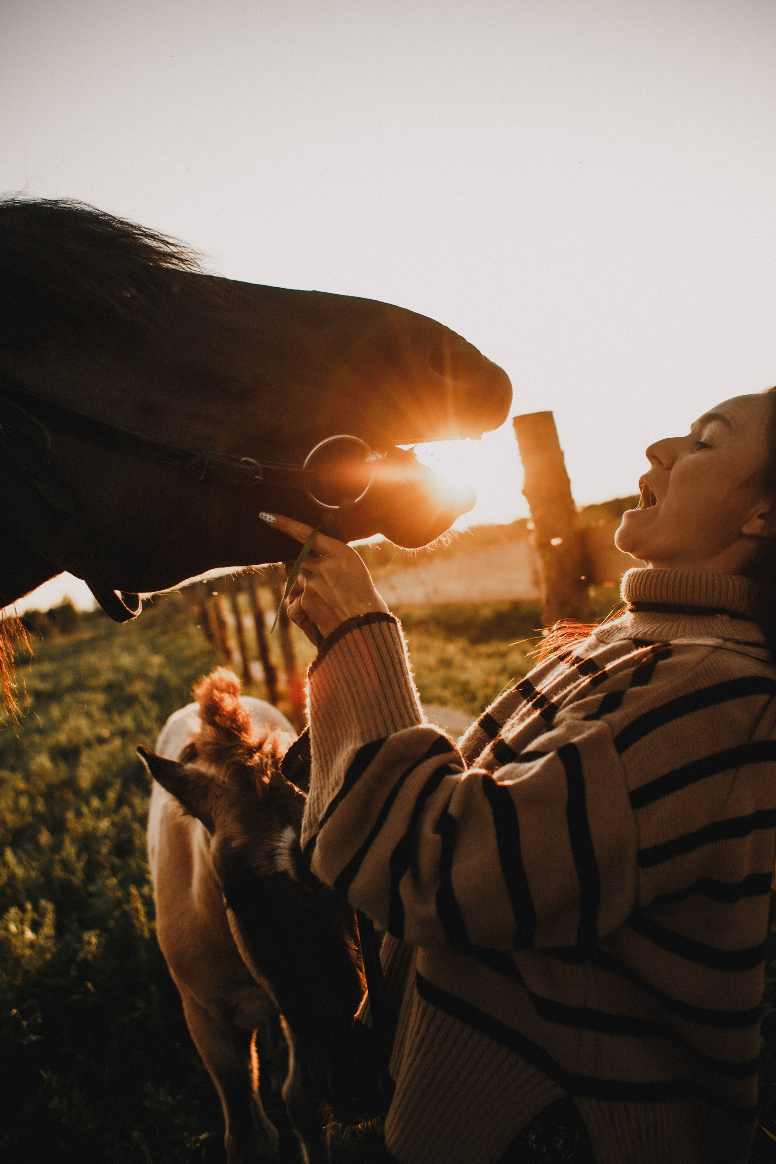 Варвара. Лошади. Закат. Фотограф в Нижнем Новгороде