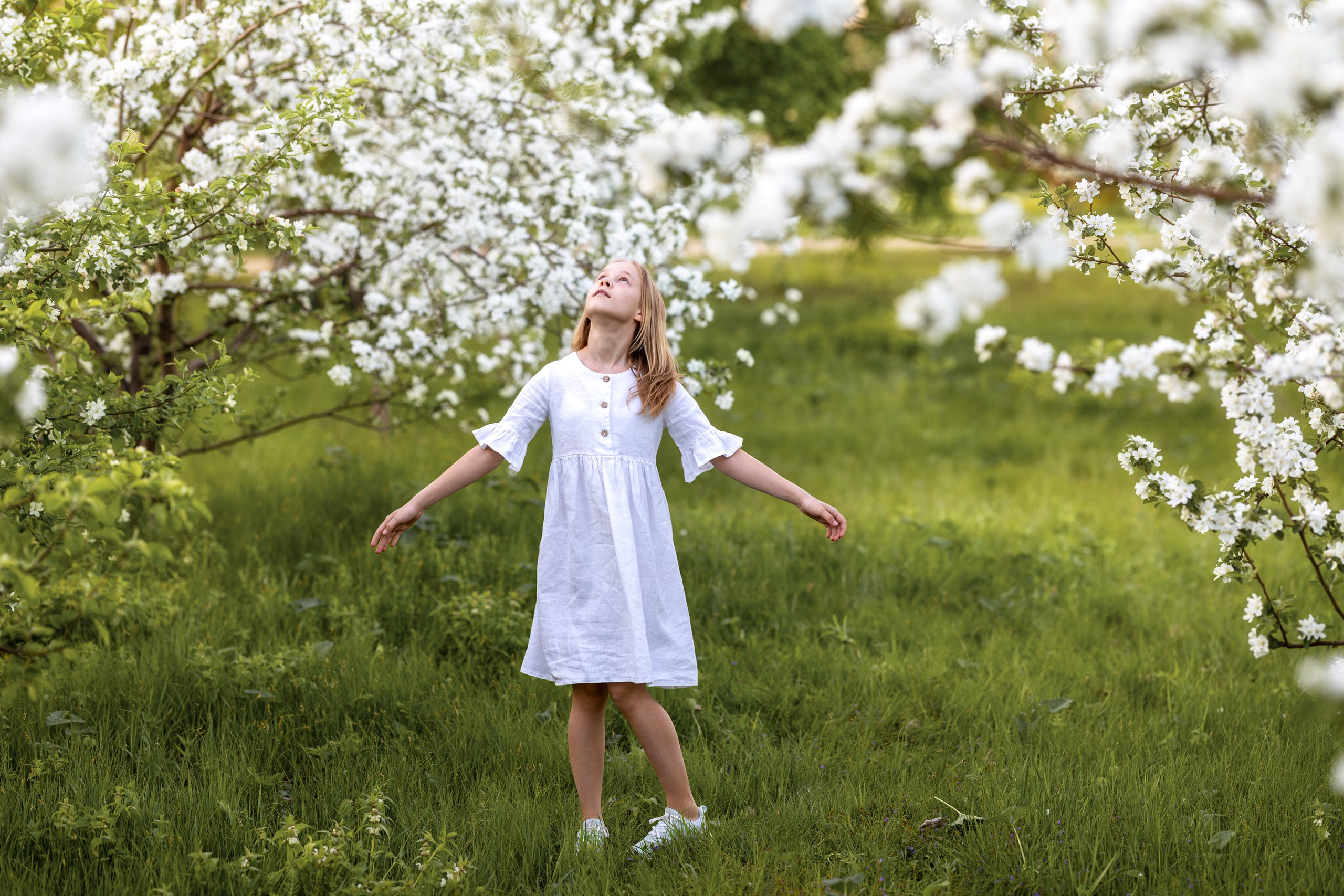 Яблоневый сад. Семейный и детский фотограф в Красноярске, Дивногорцева Светлана