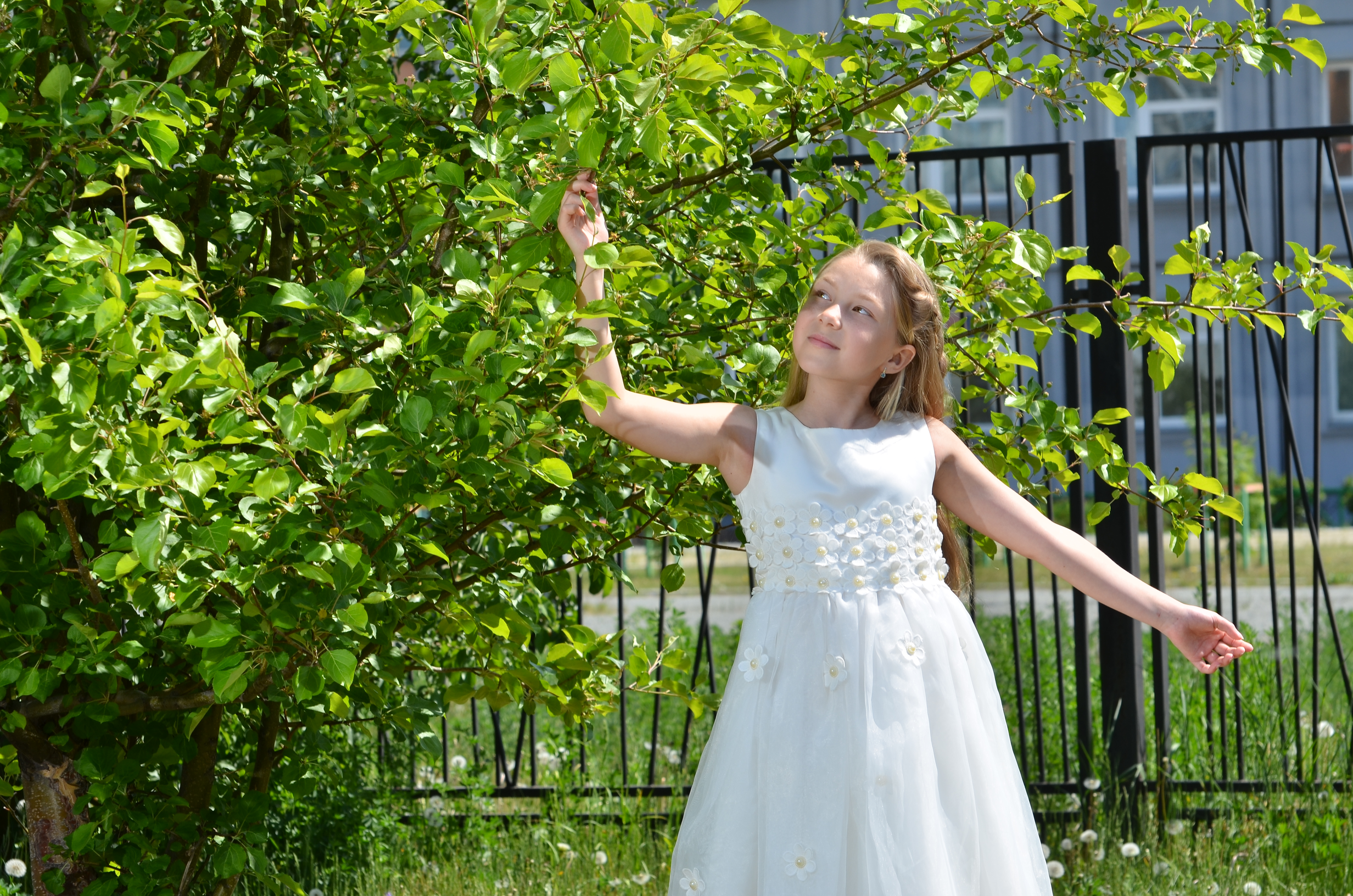 Семейная фотосессия. Выпускные фотокниги, фотосъемка, видеосъемка в Челябинске и области