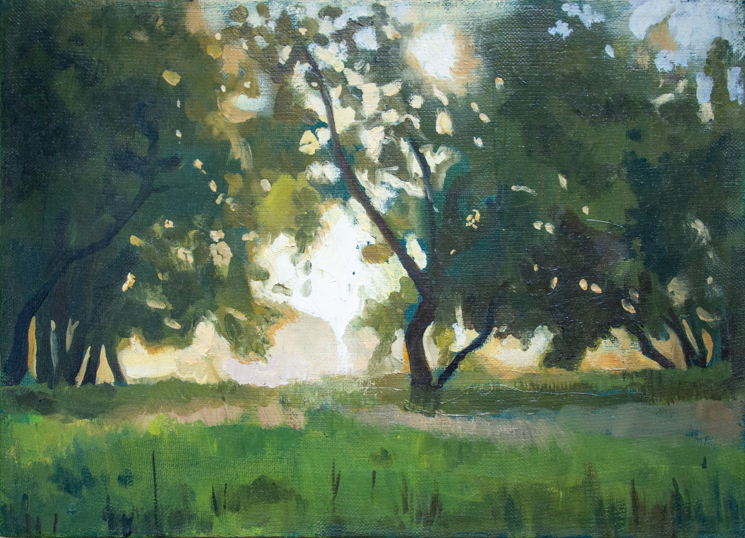 Пейзаж в Липецке, деревья, утро.