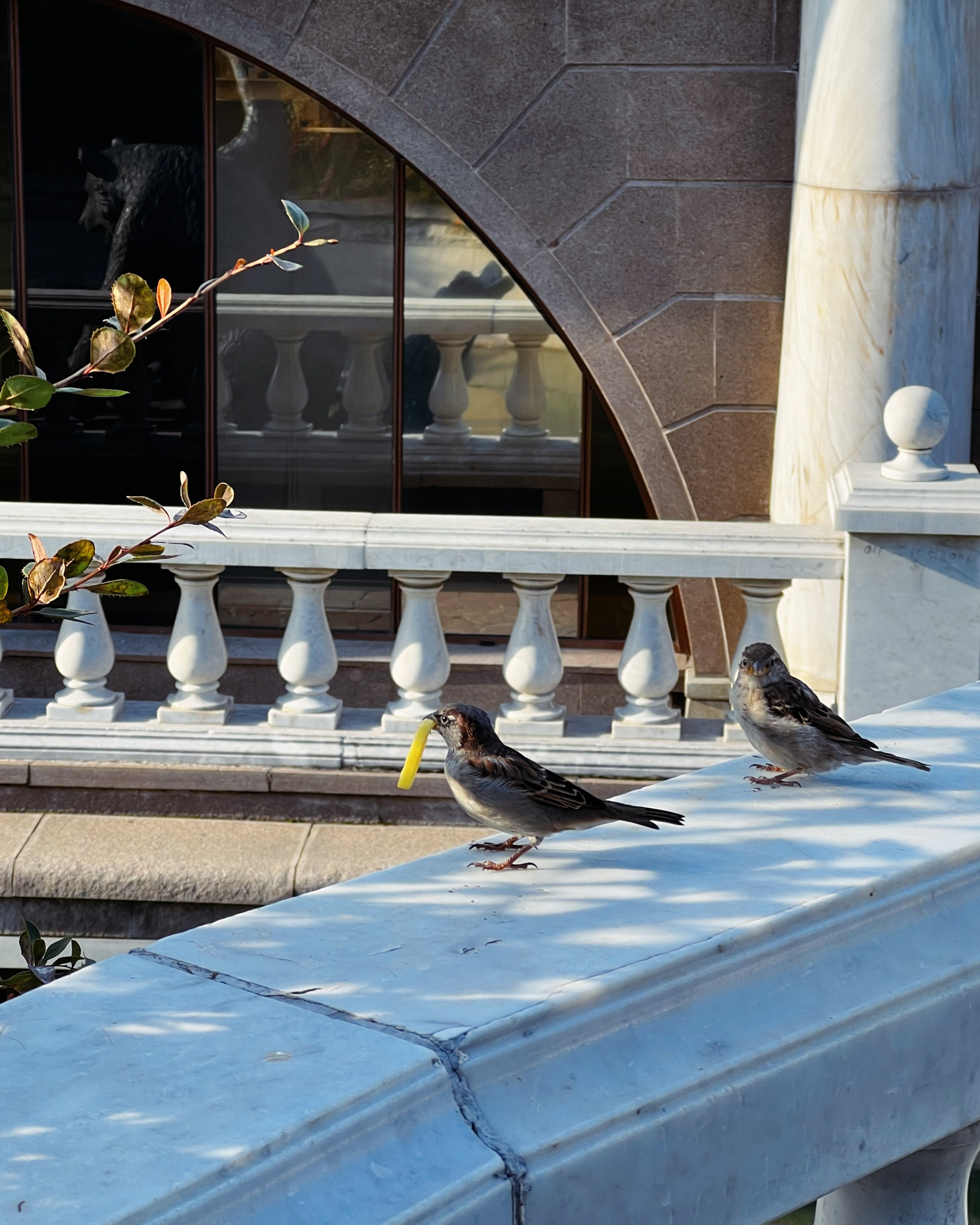 Мой мир. LAMOURCEVA | fashion photographer