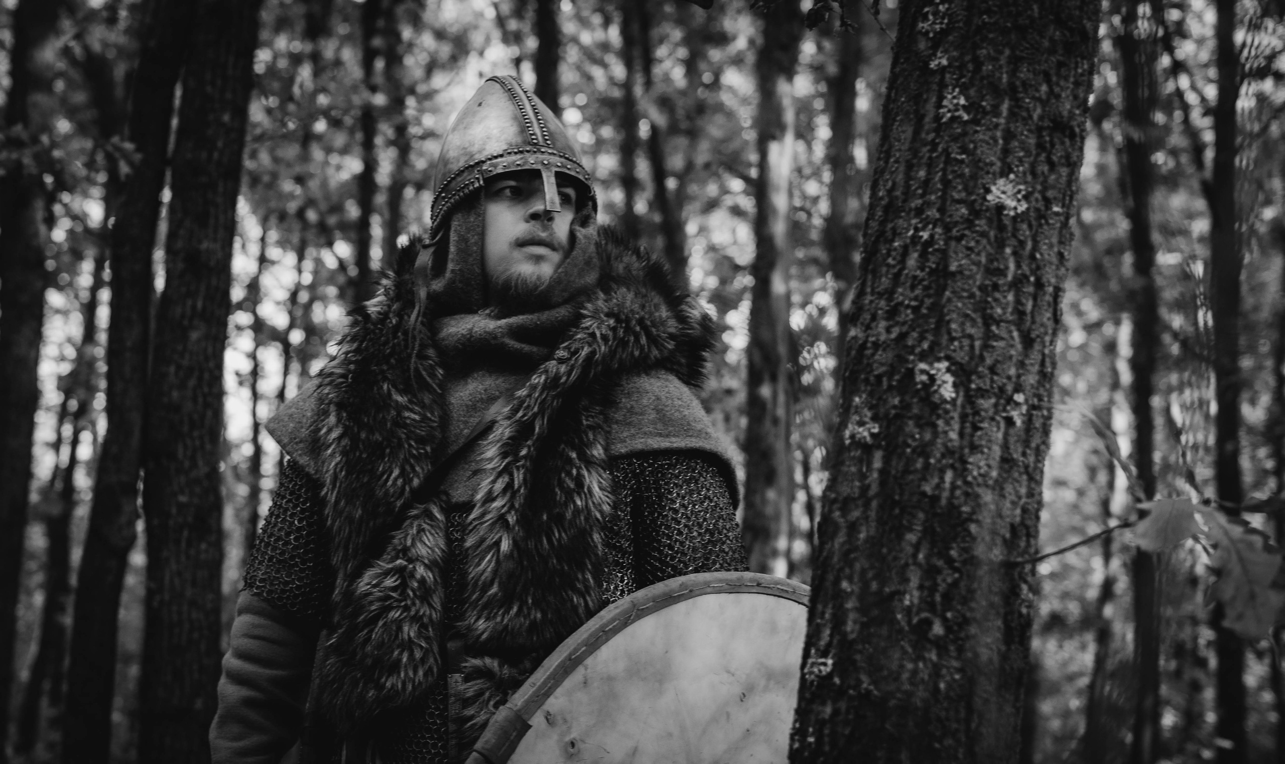 Викинг. Ab extra