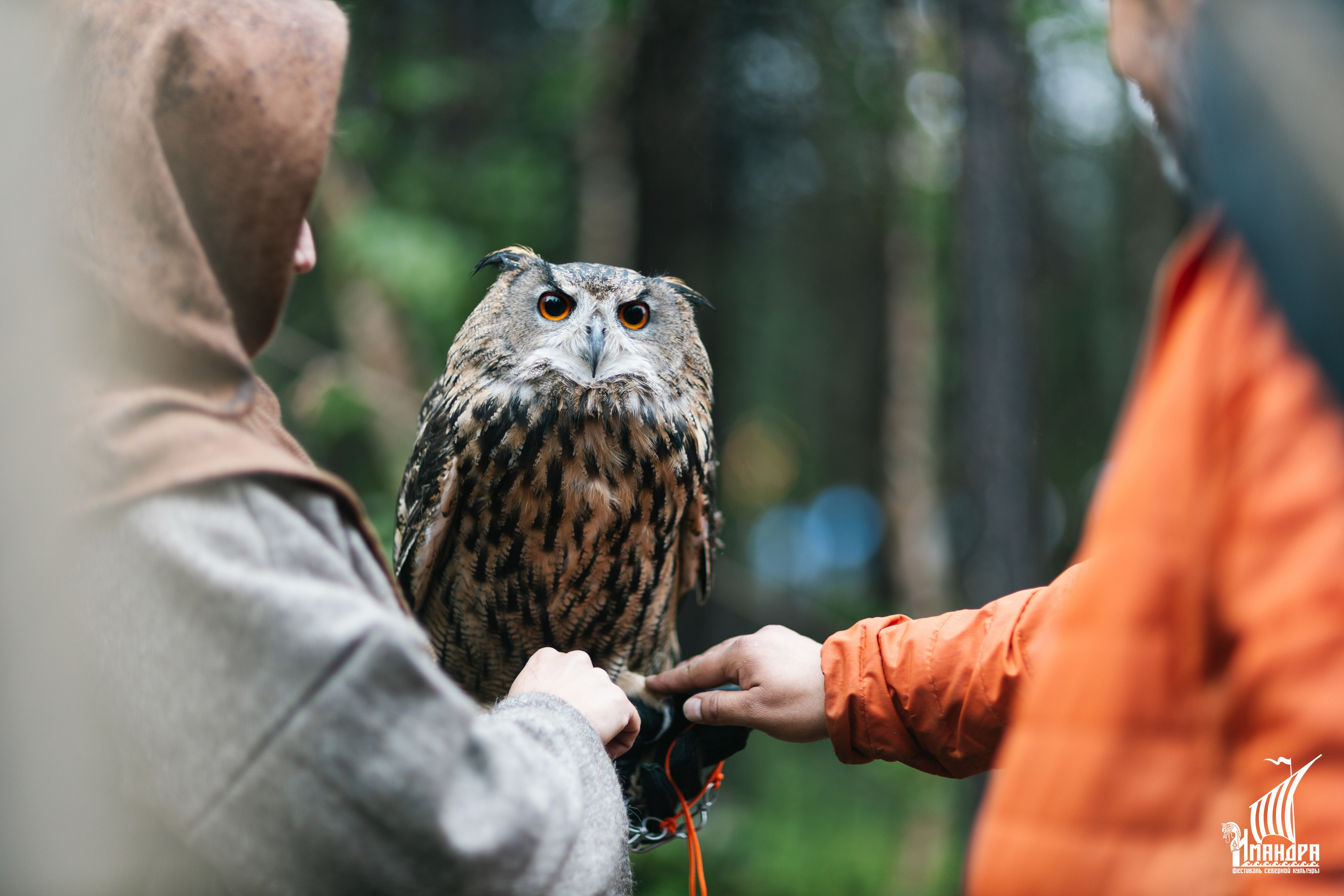 Imandra 2025. Репортажный фотограф в Мурманской области