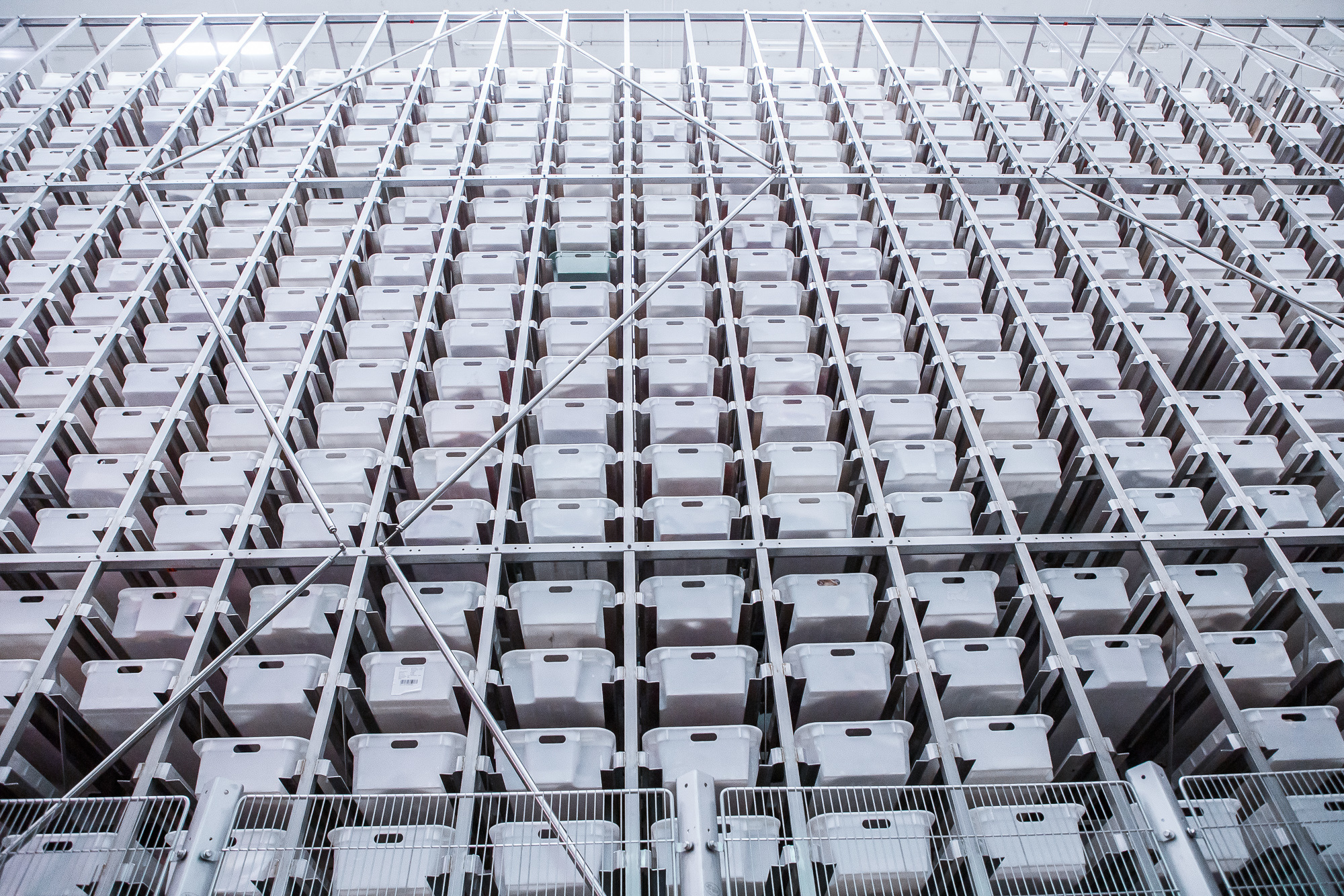 Технологии и производство. Коммерческая и документальная фотография