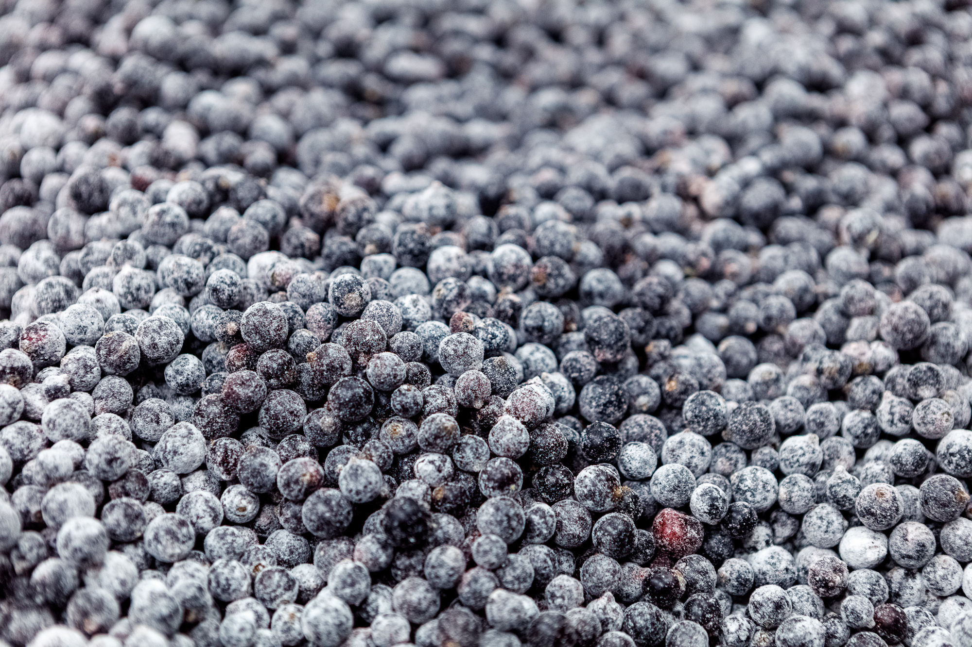 Технологии и производство. Коммерческая и документальная фотография