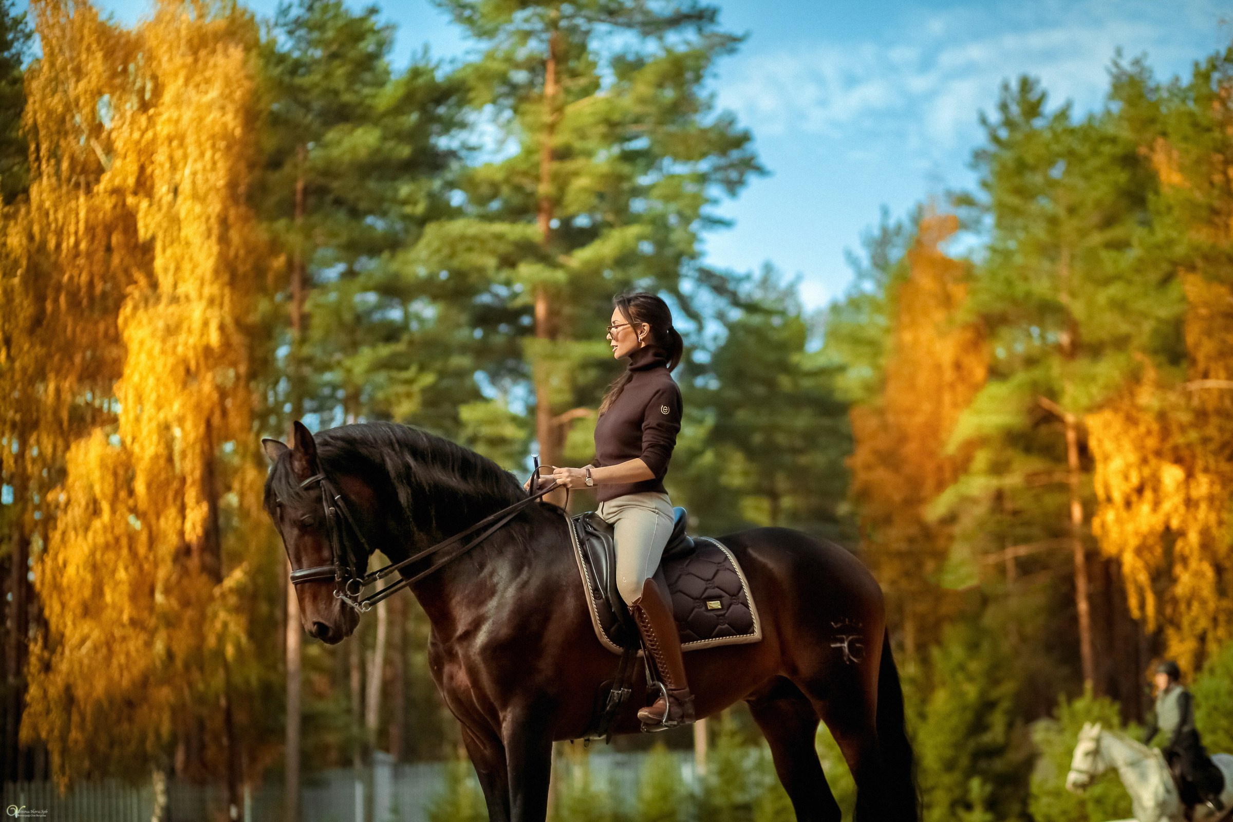 Фотосессии с лошадьми осенью. Фотограф женский и мужской портрет Санкт-Петербург