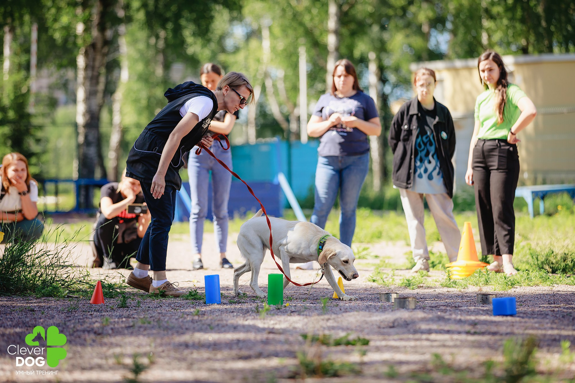 Семинар по поиску запаха с Иваном Ломовым, организатор CleverDog, СПб. Фотограф-анималист Mary Mart — Москва, Питер