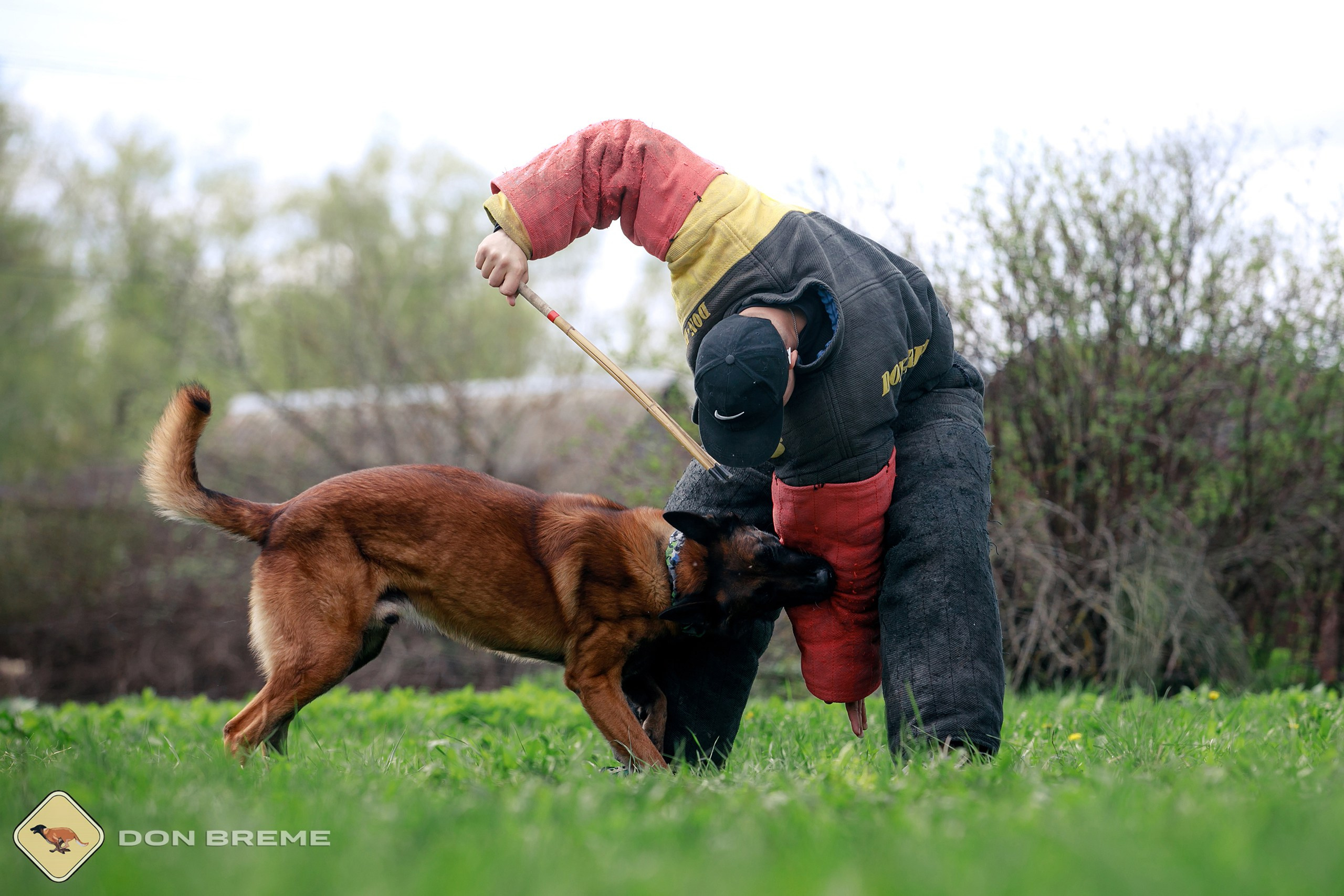 Семинар для фигурантов, день 2. Фотограф-анималист Mary Mart — Москва, Питер