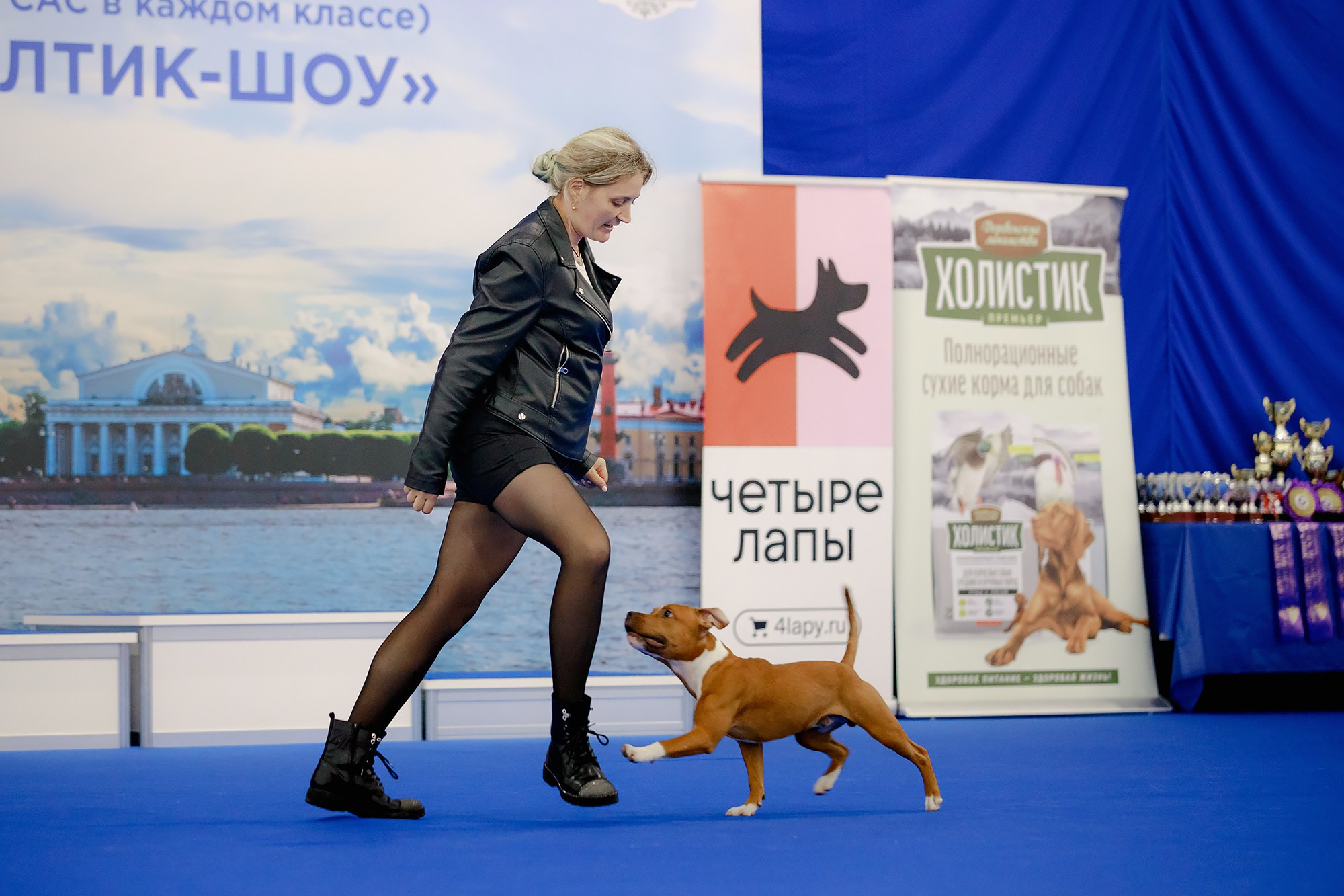 Танцы на выставке «Зоошоу», СПб. Фотограф-анималист Mary Mart — Москва, Питер