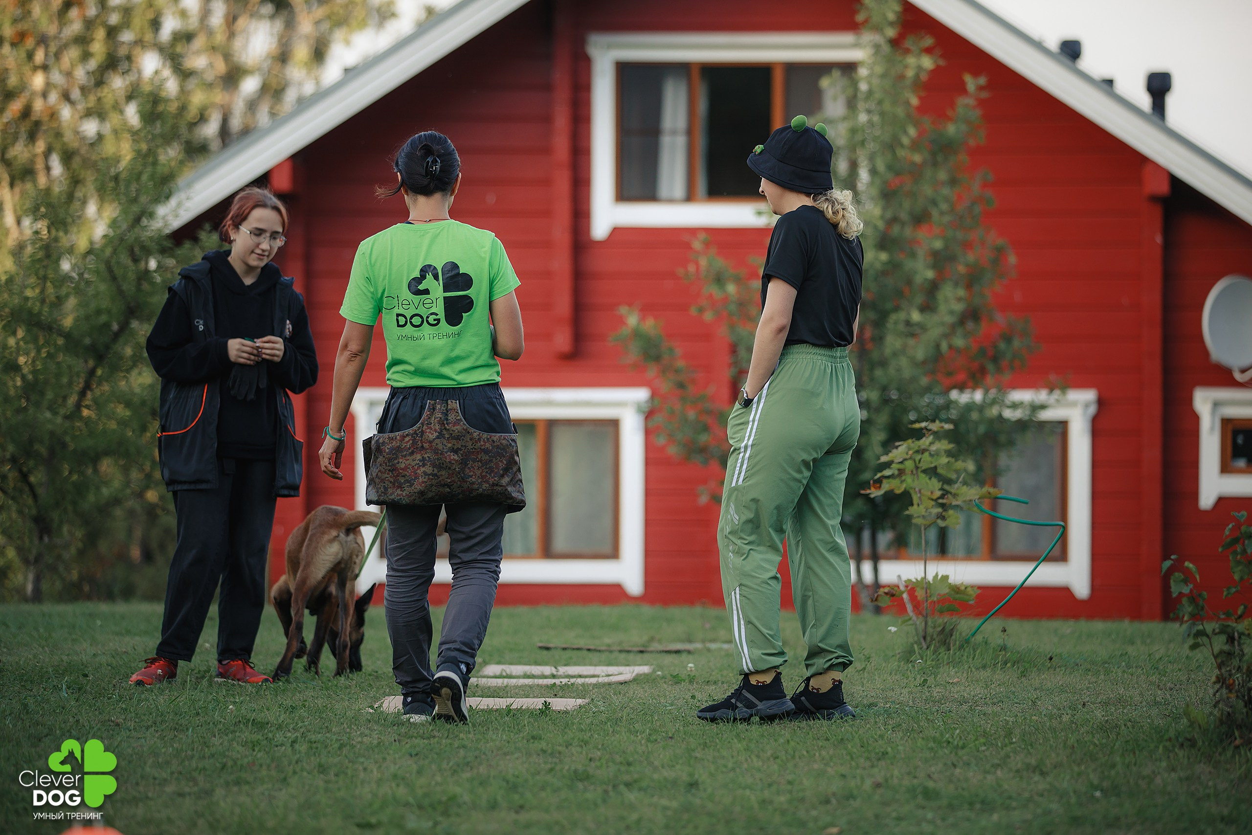 Кинологический лагерь CleverDog, 2024. Фотограф-анималист Mary Mart — Москва, Питер