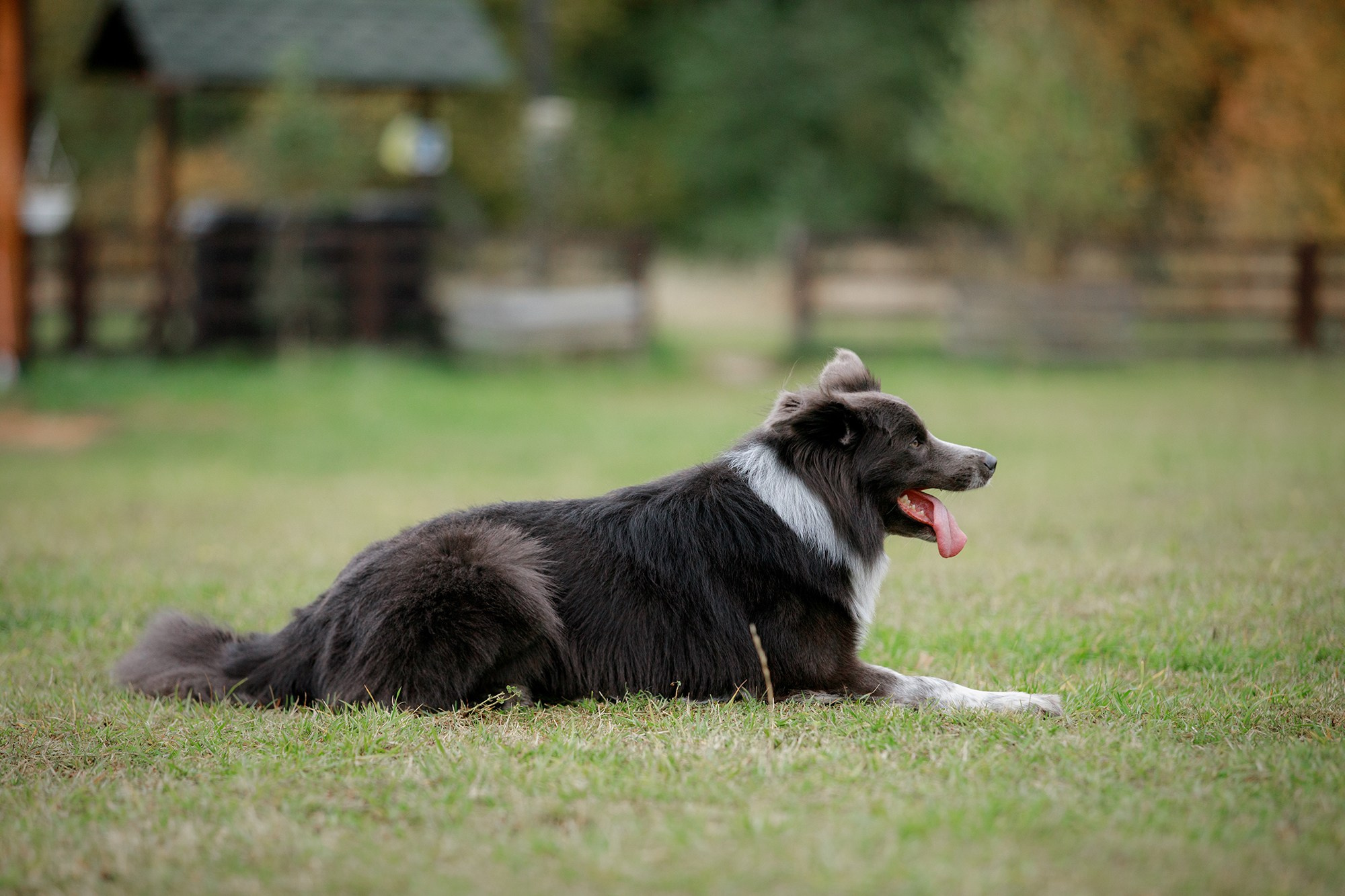 Лагерь по ОБД с Инной Баженовой. Фотограф-анималист Mary Mart — Москва, Питер