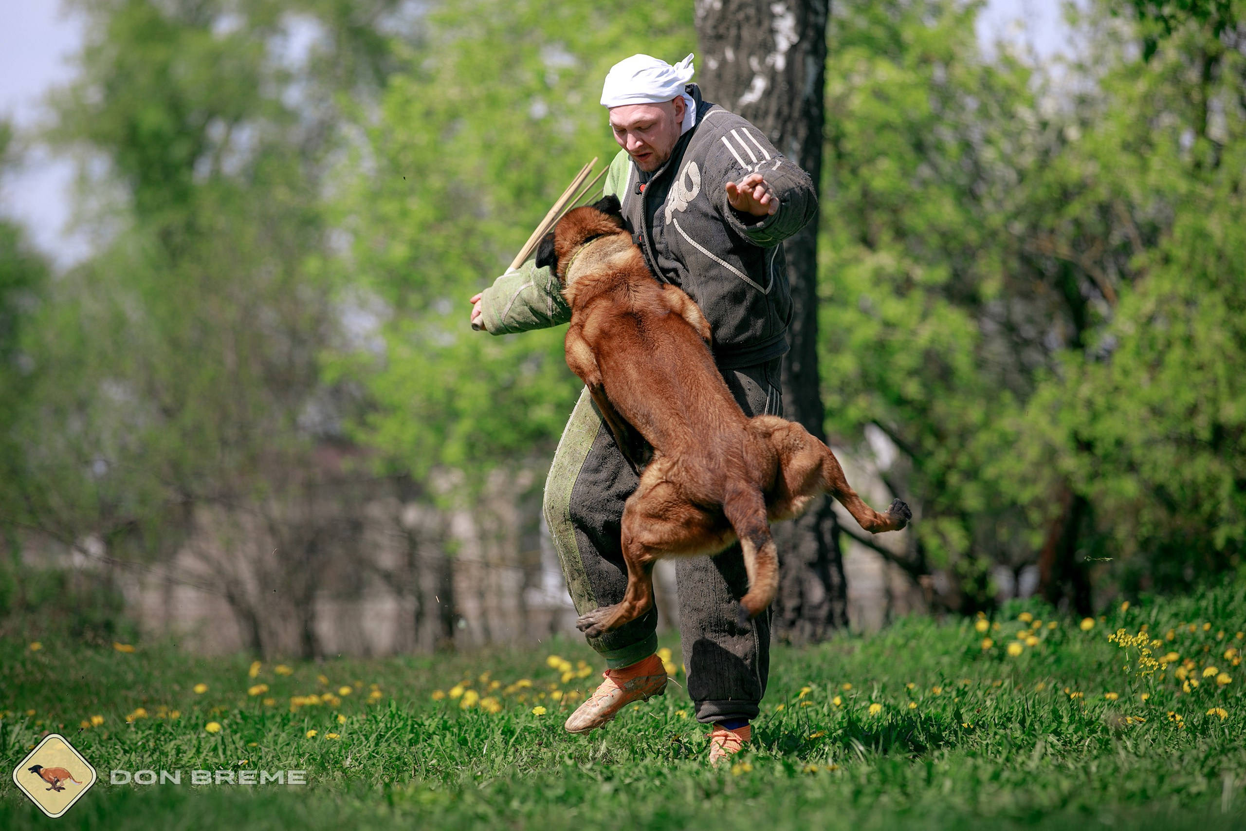 Семинар для фигурантов, день 4. Фотограф-анималист Mary Mart — Москва, Питер
