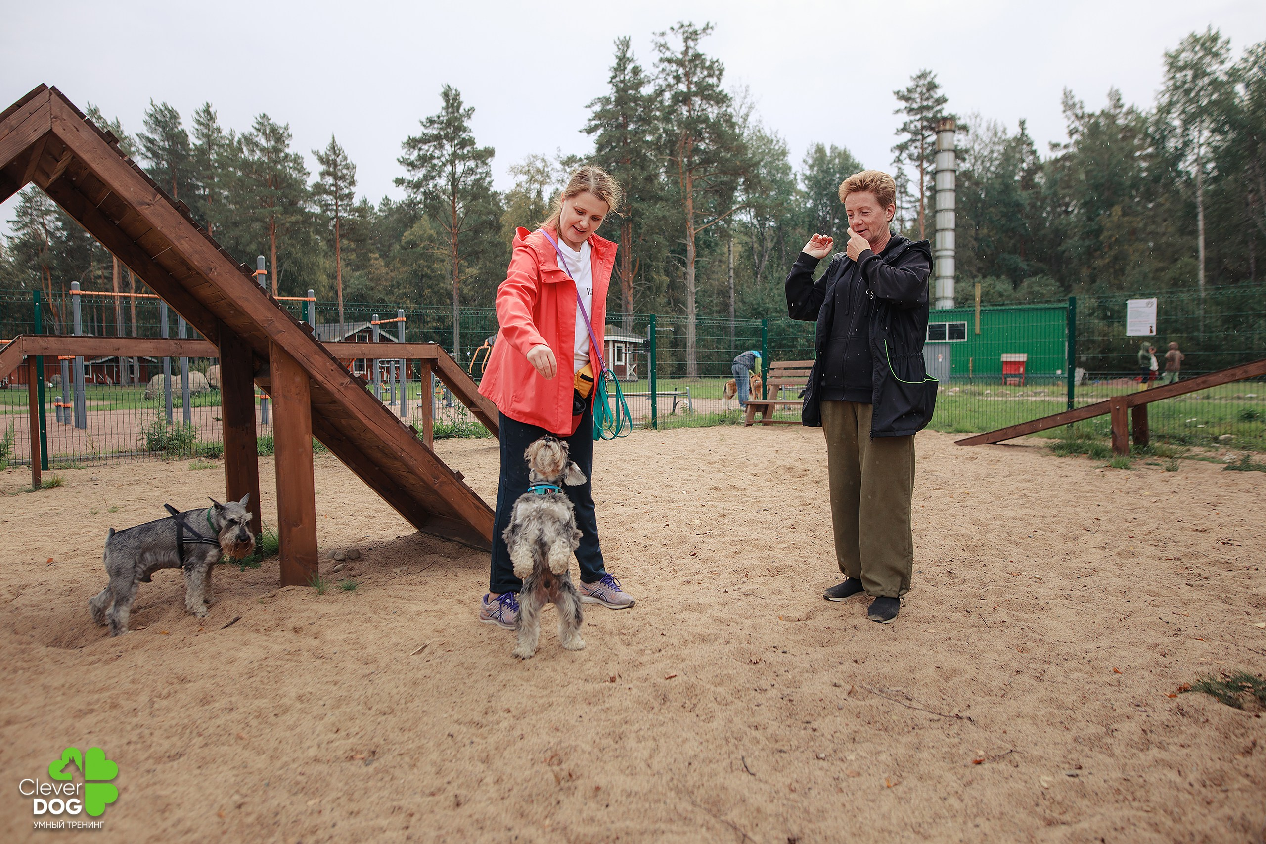 Кинологический лагерь CleverDog, 2024. Фотограф-анималист Mary Mart — Москва, Питер