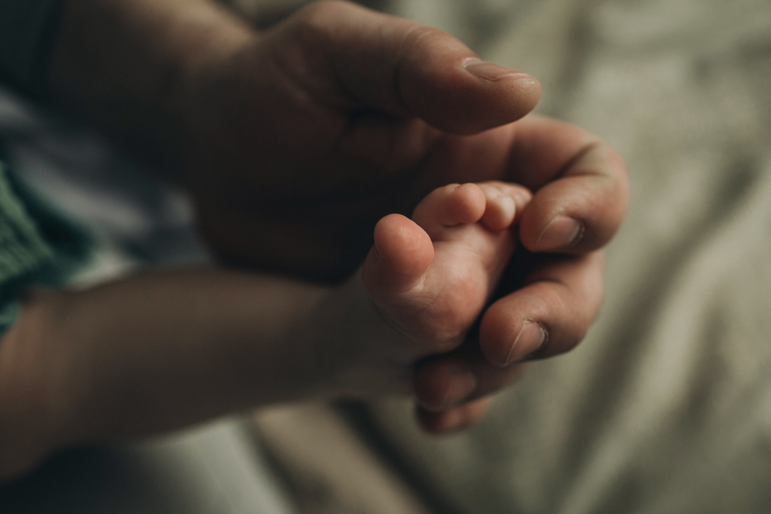 Артем, Наташа, Олег. Семейный фотограф Томск