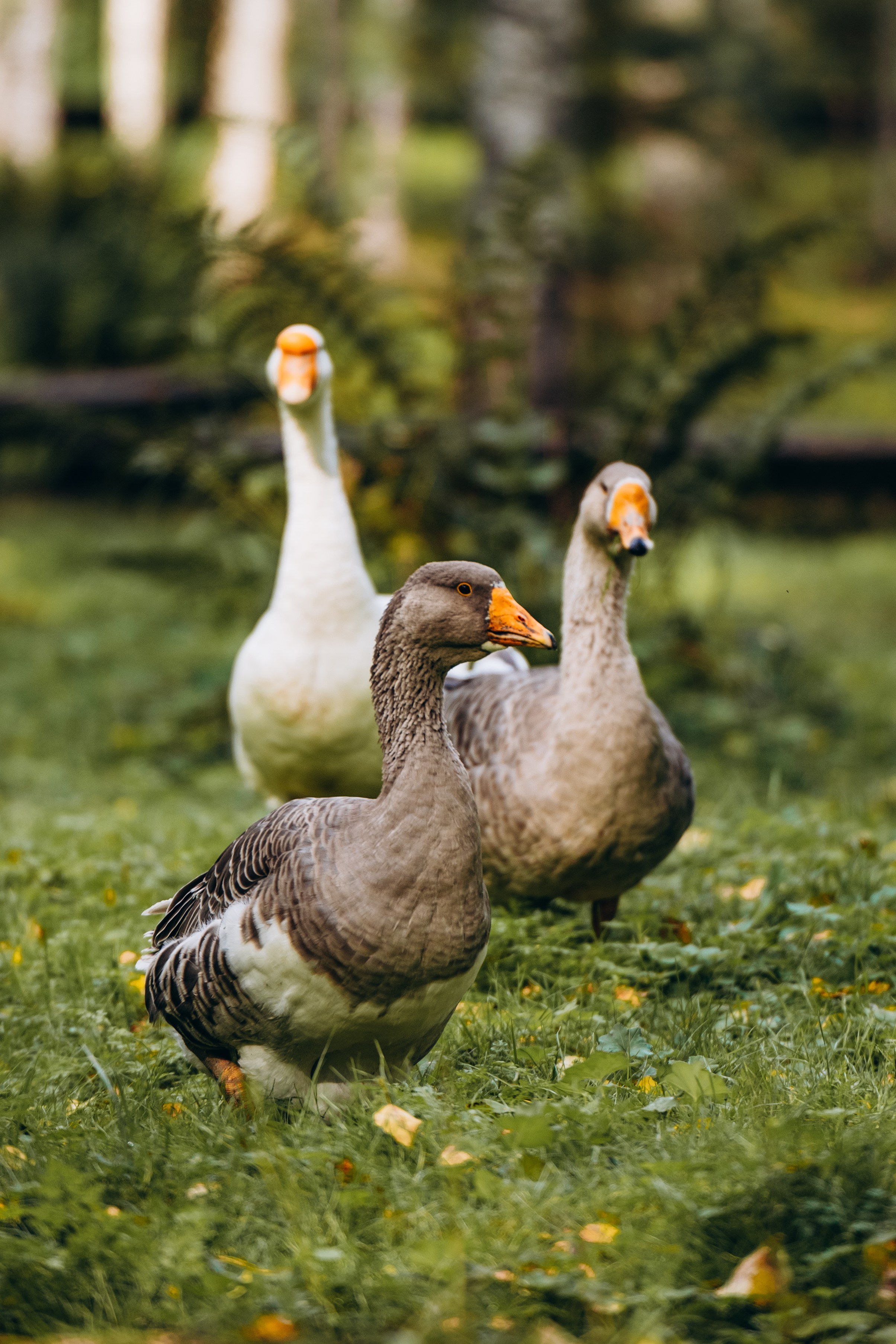 СЕВЕР. Event фотограф Степанова Александра
