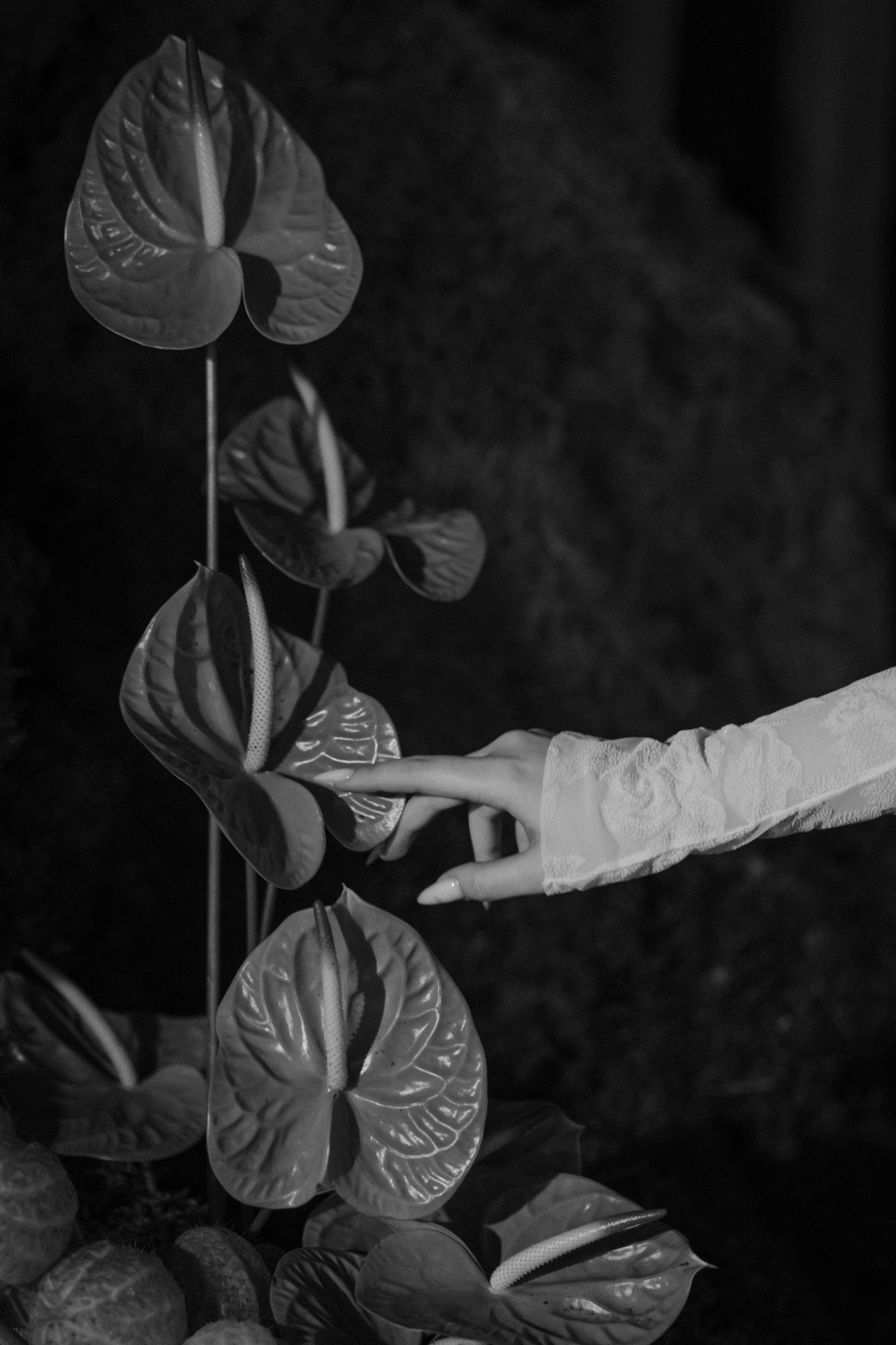 N&A. Свадебный фотограф Лиза Макатович Беларусь Минск