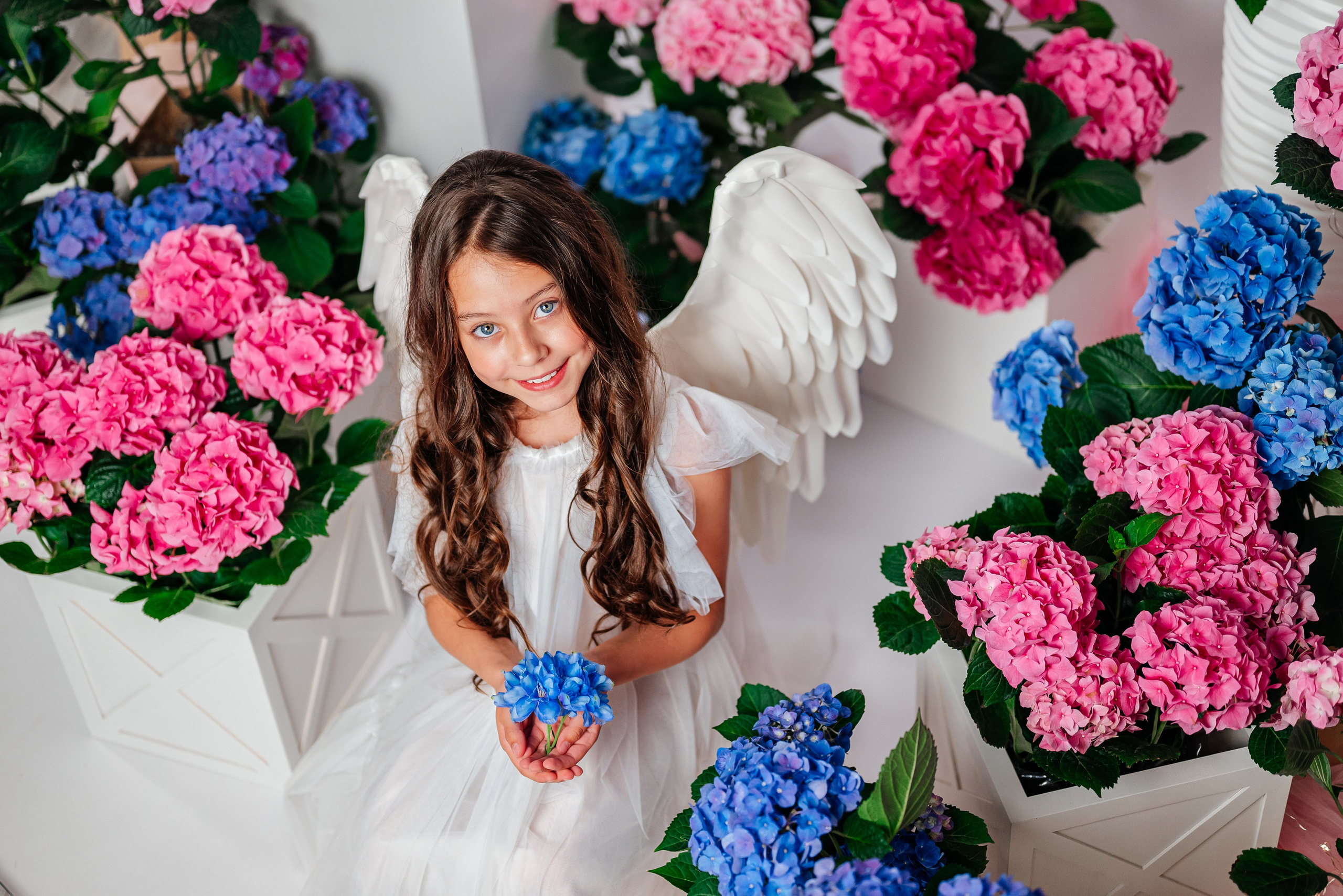 Вероника и гортензии. Семейный фотограф в Краснодаре