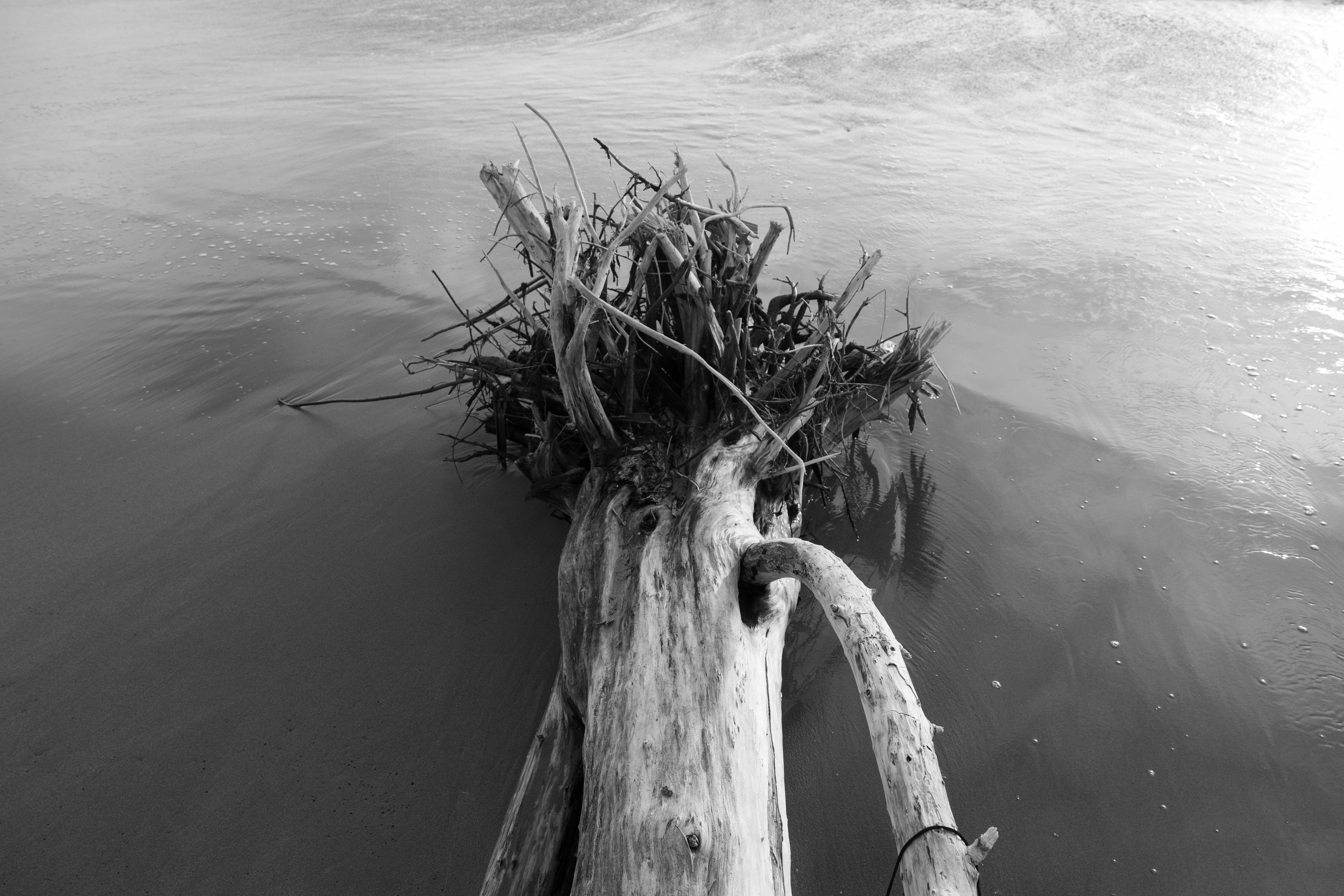 Art prints. Фотограф алина стерхова, алина стерхова фотограф, фотограф москва