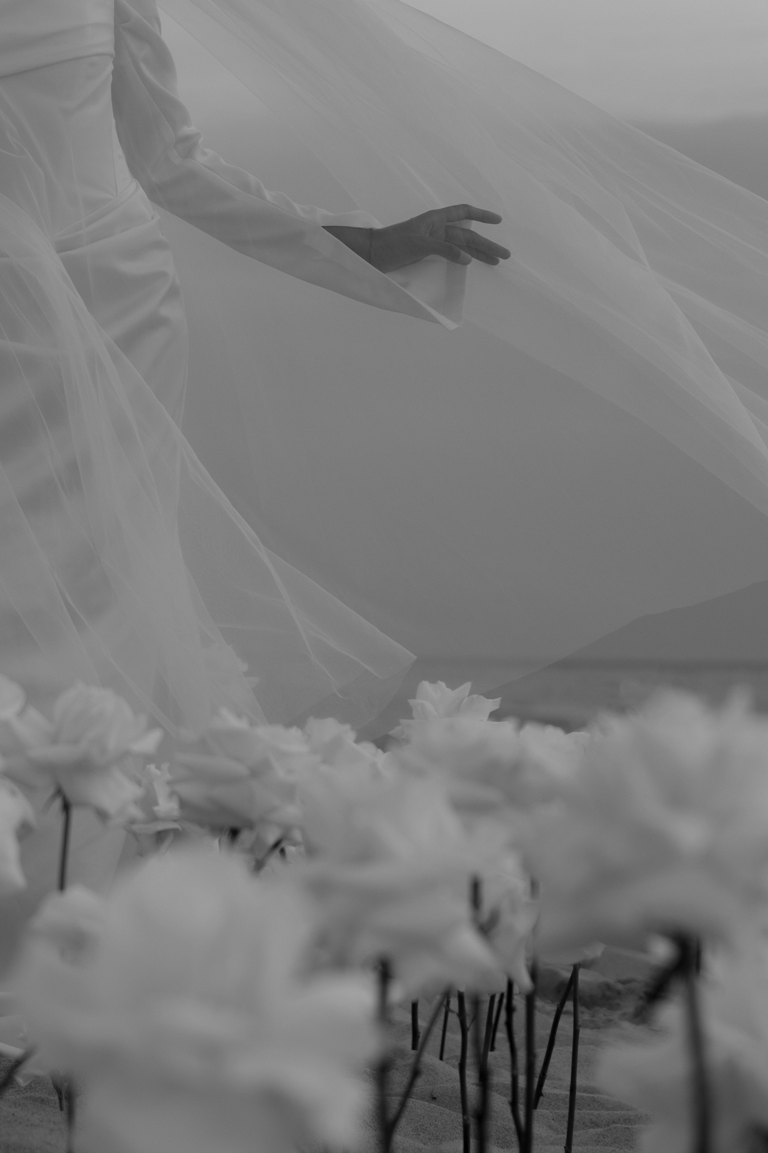 Выездная регистрация на море с белыми розами. Свадебный фотограф Калининград