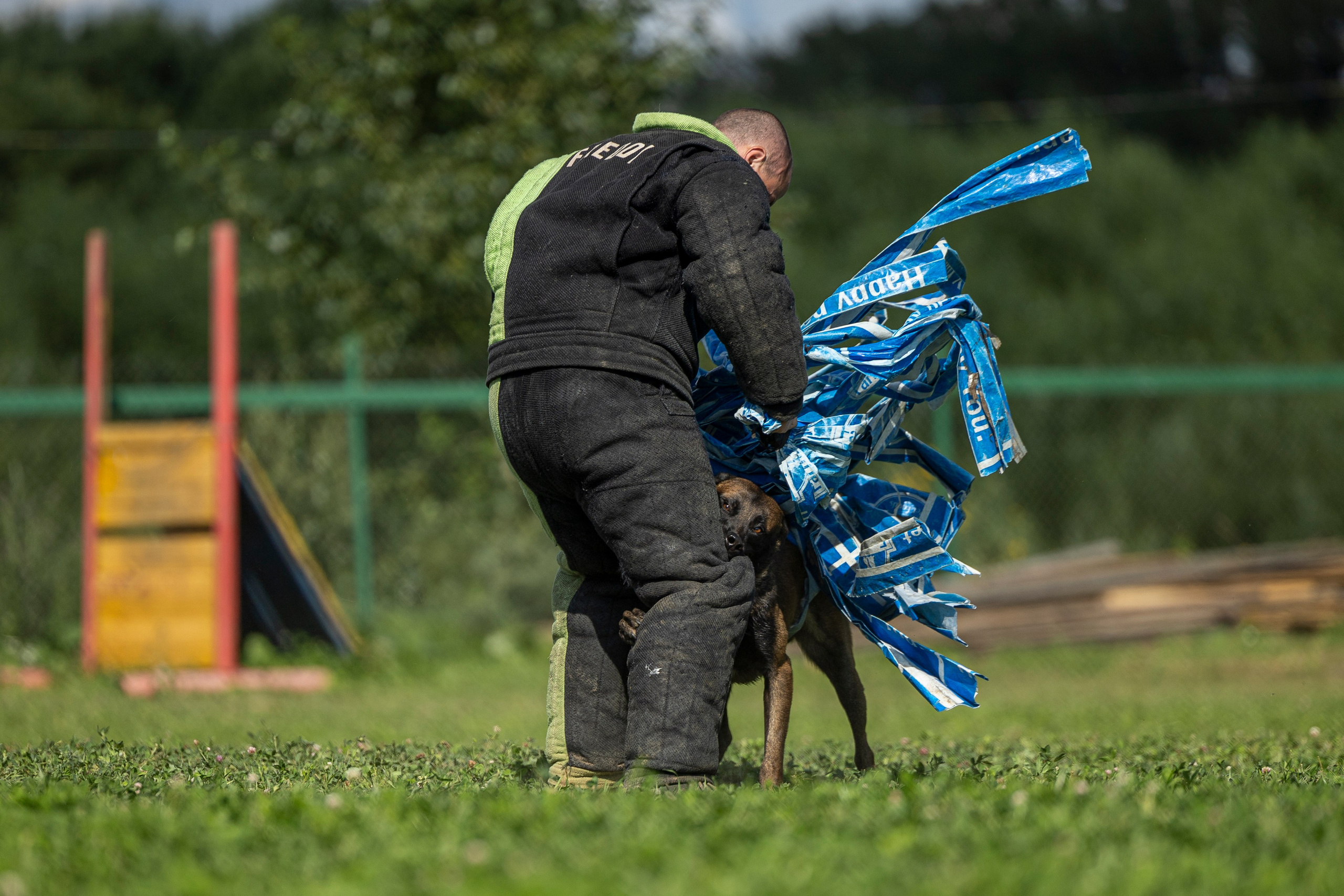 Соревнования по Мондьорингу г. Вологда 10-11.08.2024. Фотограф-анималист Анна Маринич