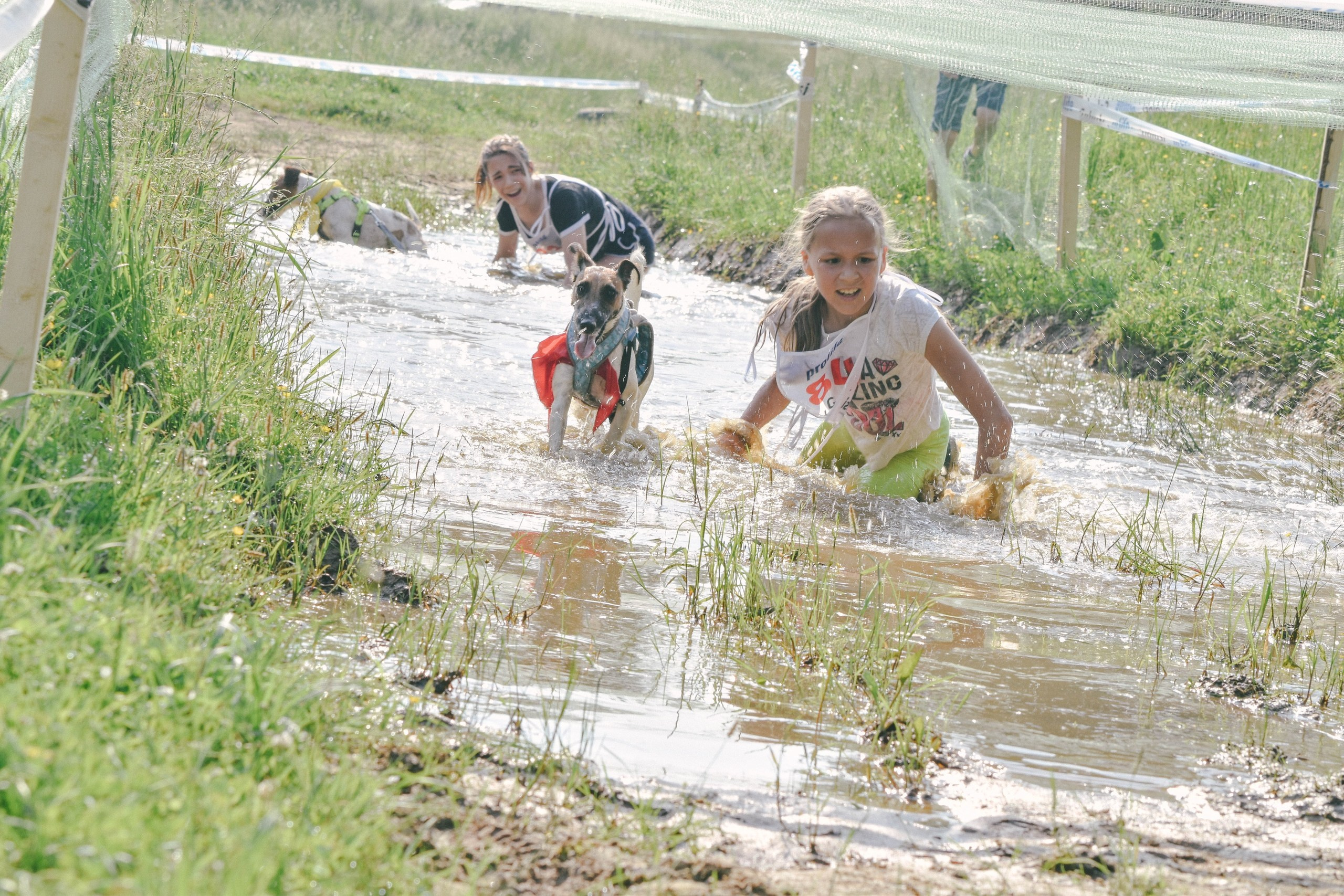 Хвостатый драйв 2019. Семейный фотограф в Москве и Севастополе Анастасия Котова