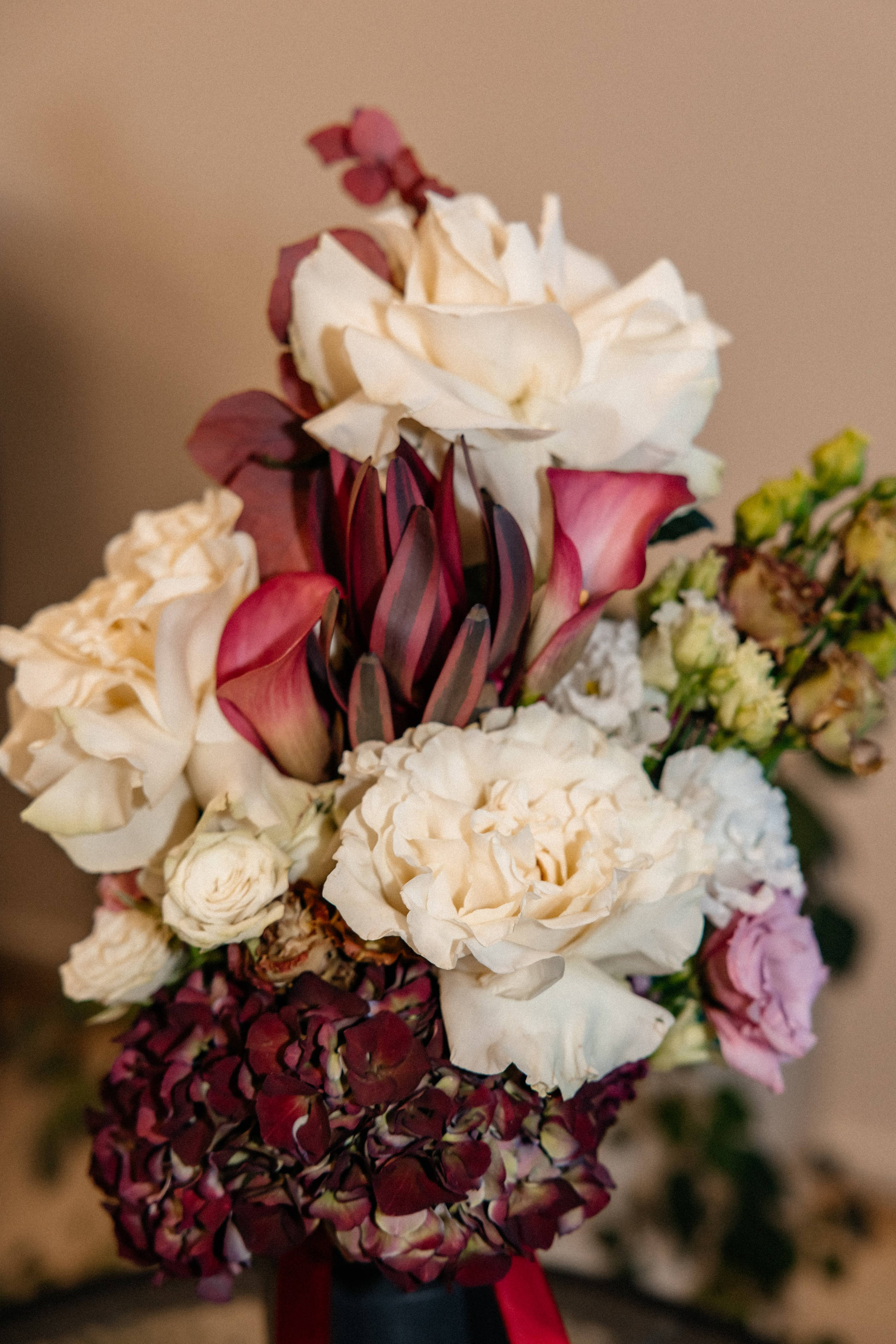 Оля и Максим. Светлана Ванцлав — фотограф Минск, Беларусь