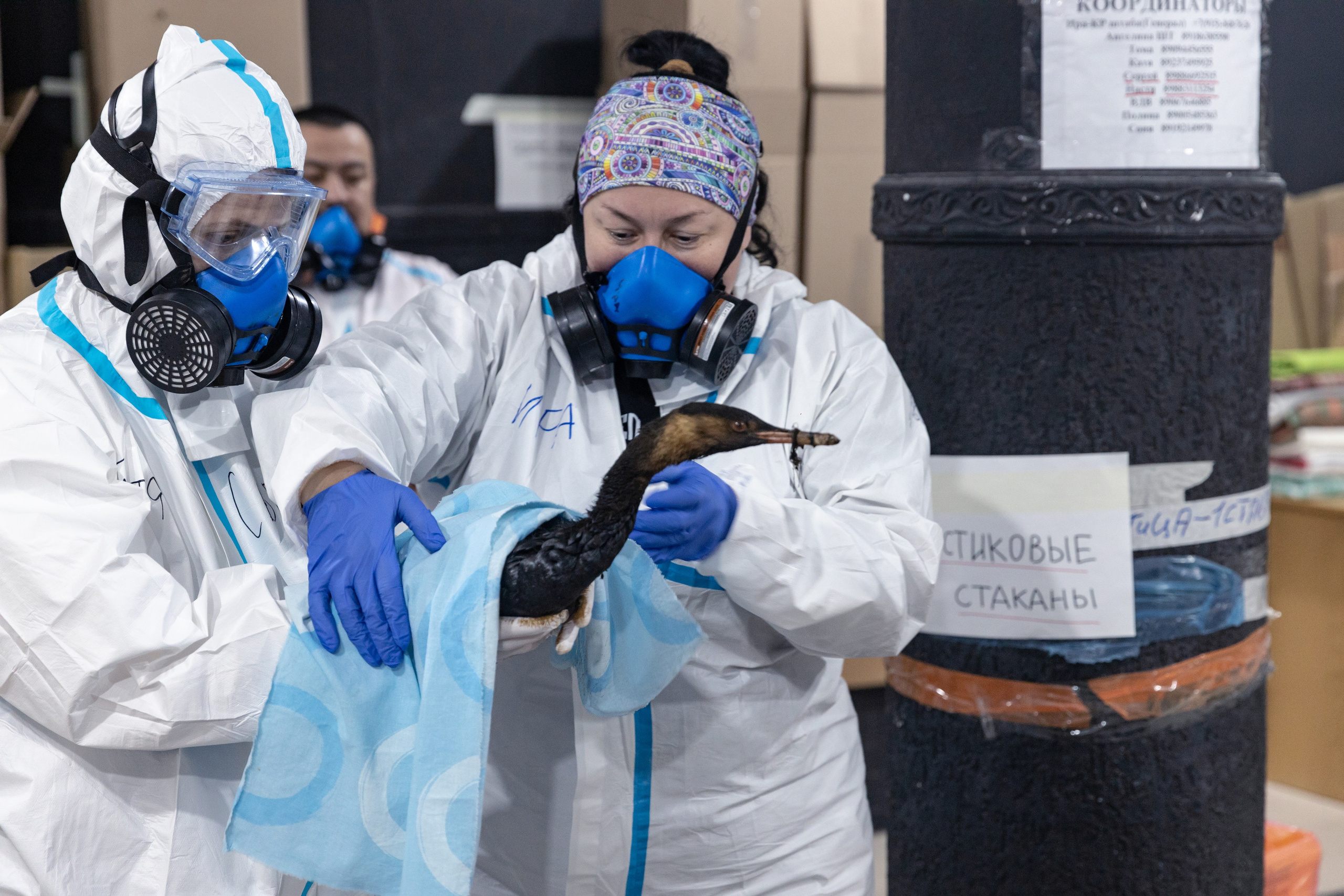 Anapa. Фотограф Маша Новодережкина