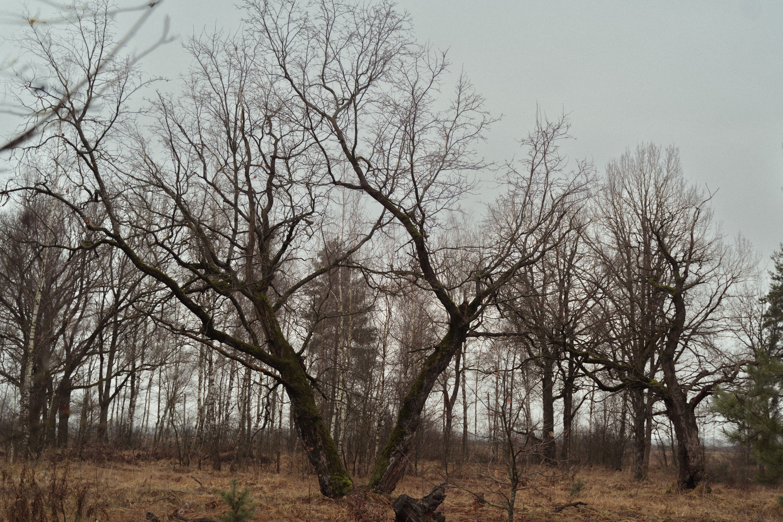 За гранью времен…. FotoTanya. Раменское/Жуковский/Бронницы