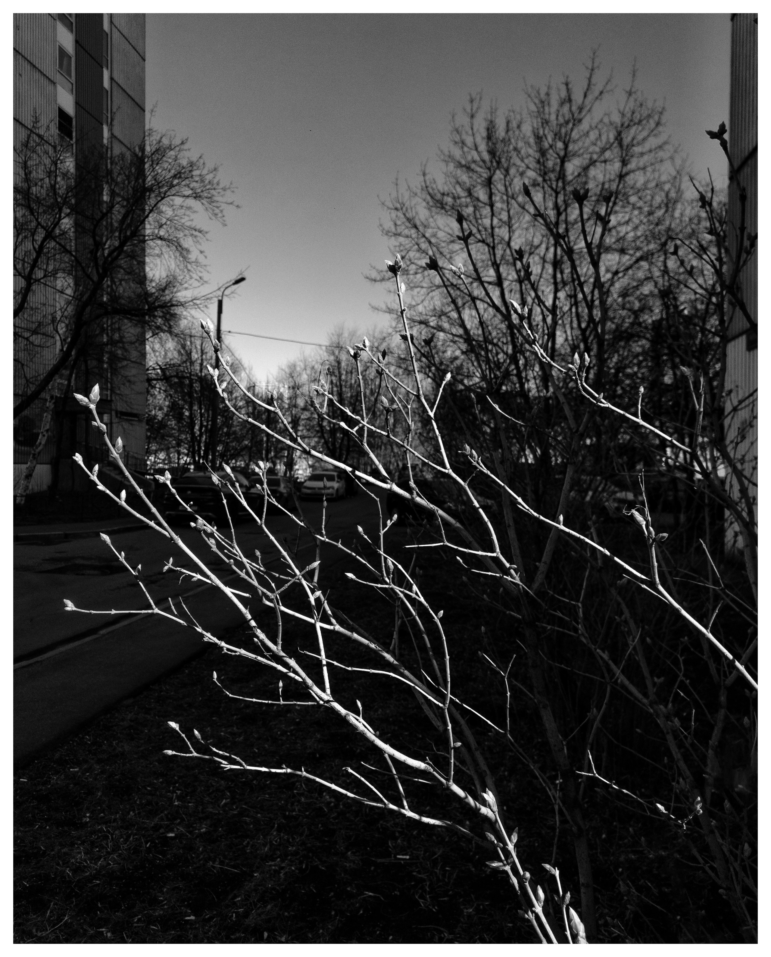 Мир повседневных Вещей. Репортажный и портретный фотограф, Влад Хафизов, Москва